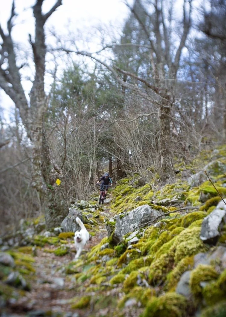 E1A61DAA-5059-4048-BD02-3D24745F9DFC - Copy.JPG