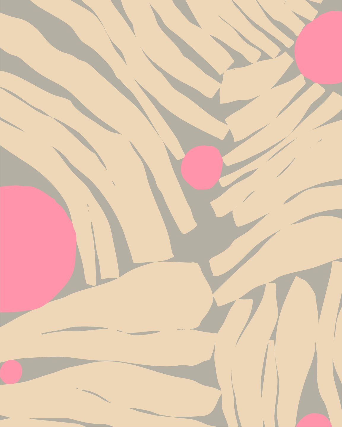 Asset 11@2x.png