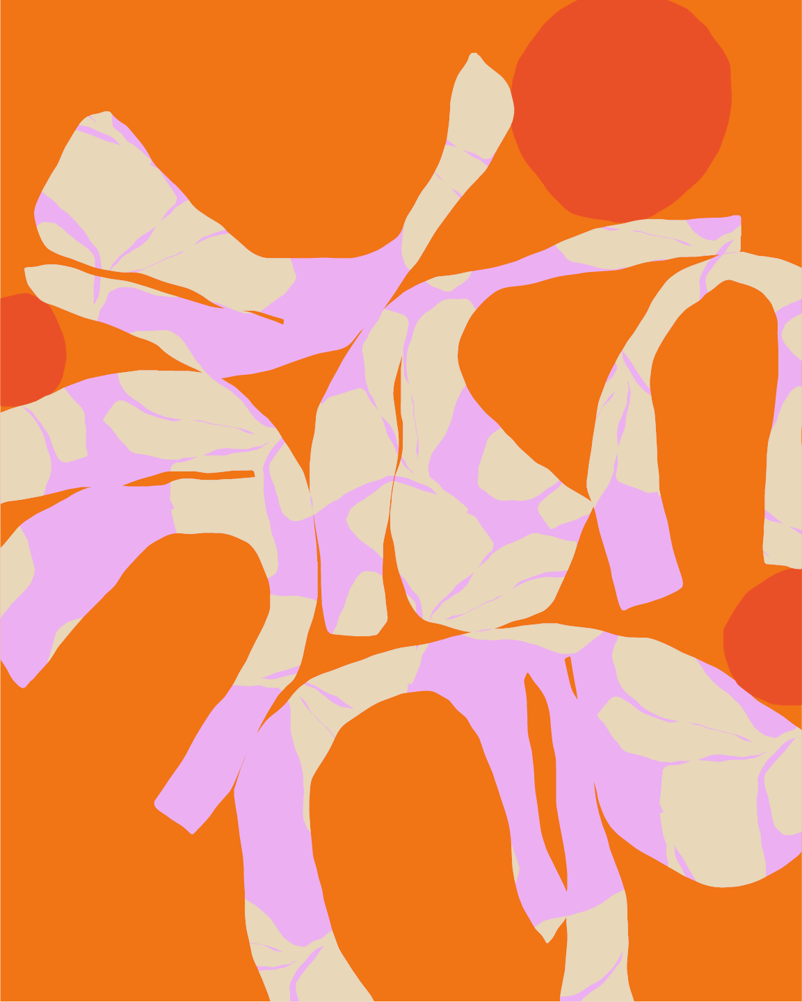 Asset 4@2x.png