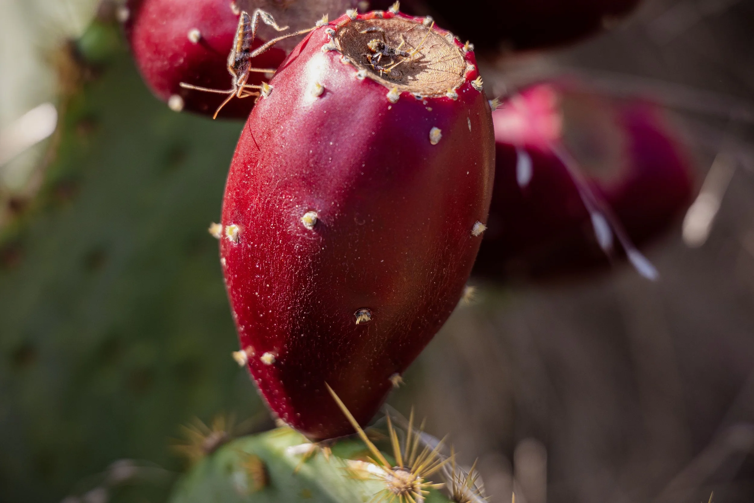 P1034210 copy smol.jpg