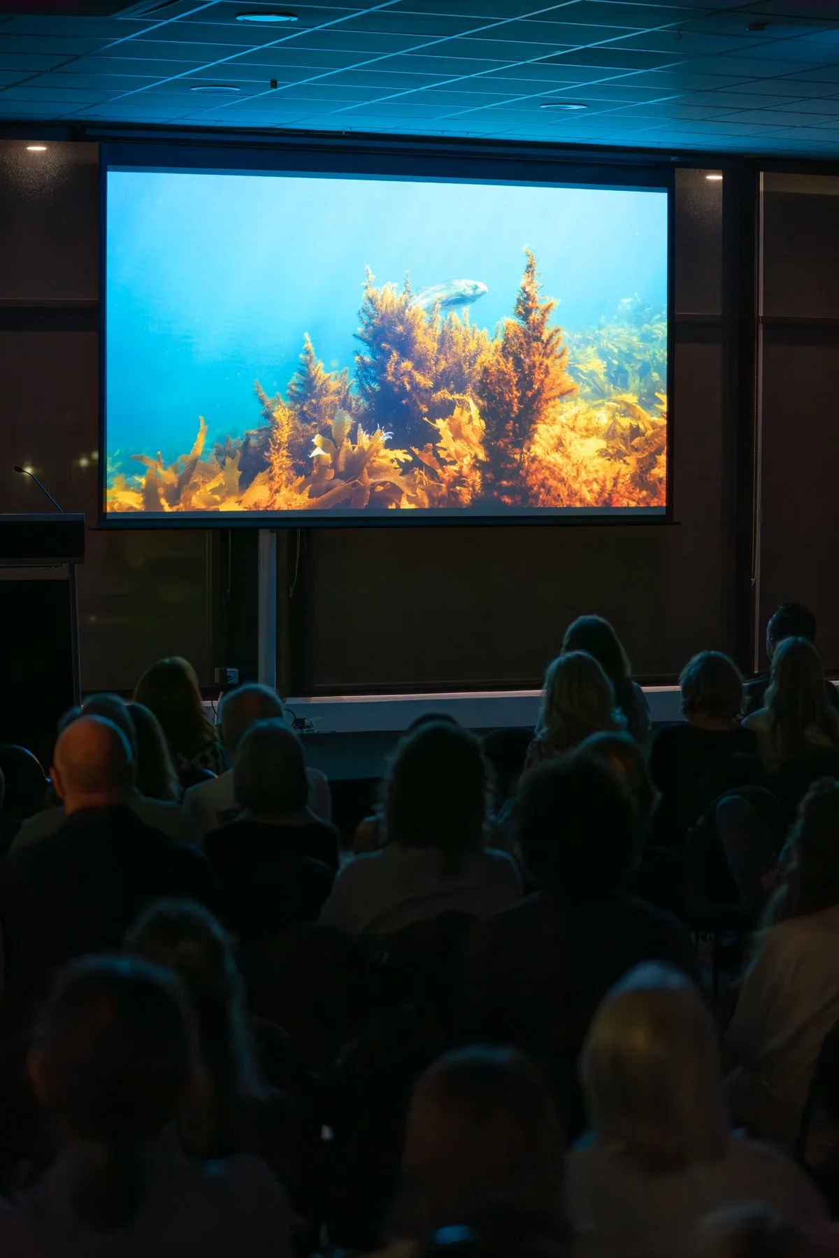 FremantleUnderwaterFilmFest-LR-182.jpg
