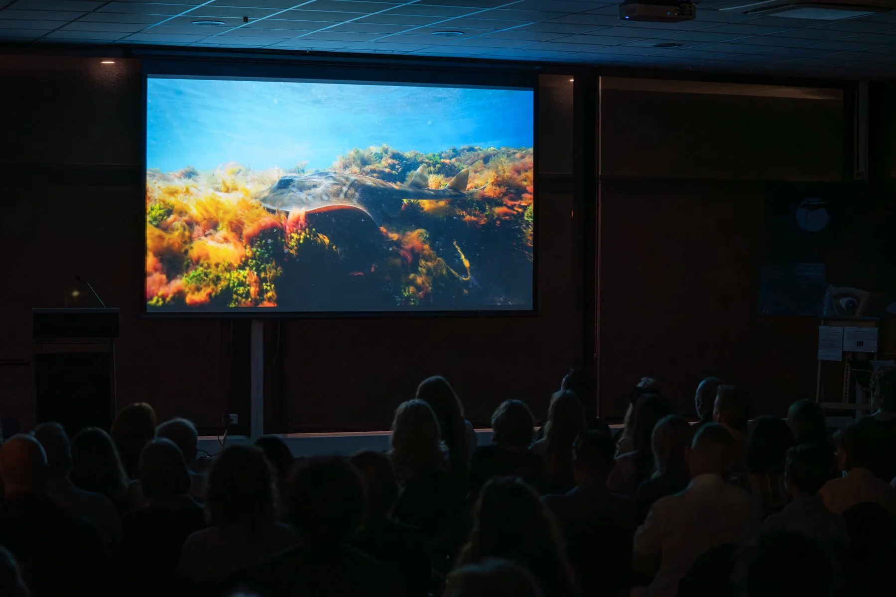 FremantleUnderwaterFilmFest-LR-183.jpg