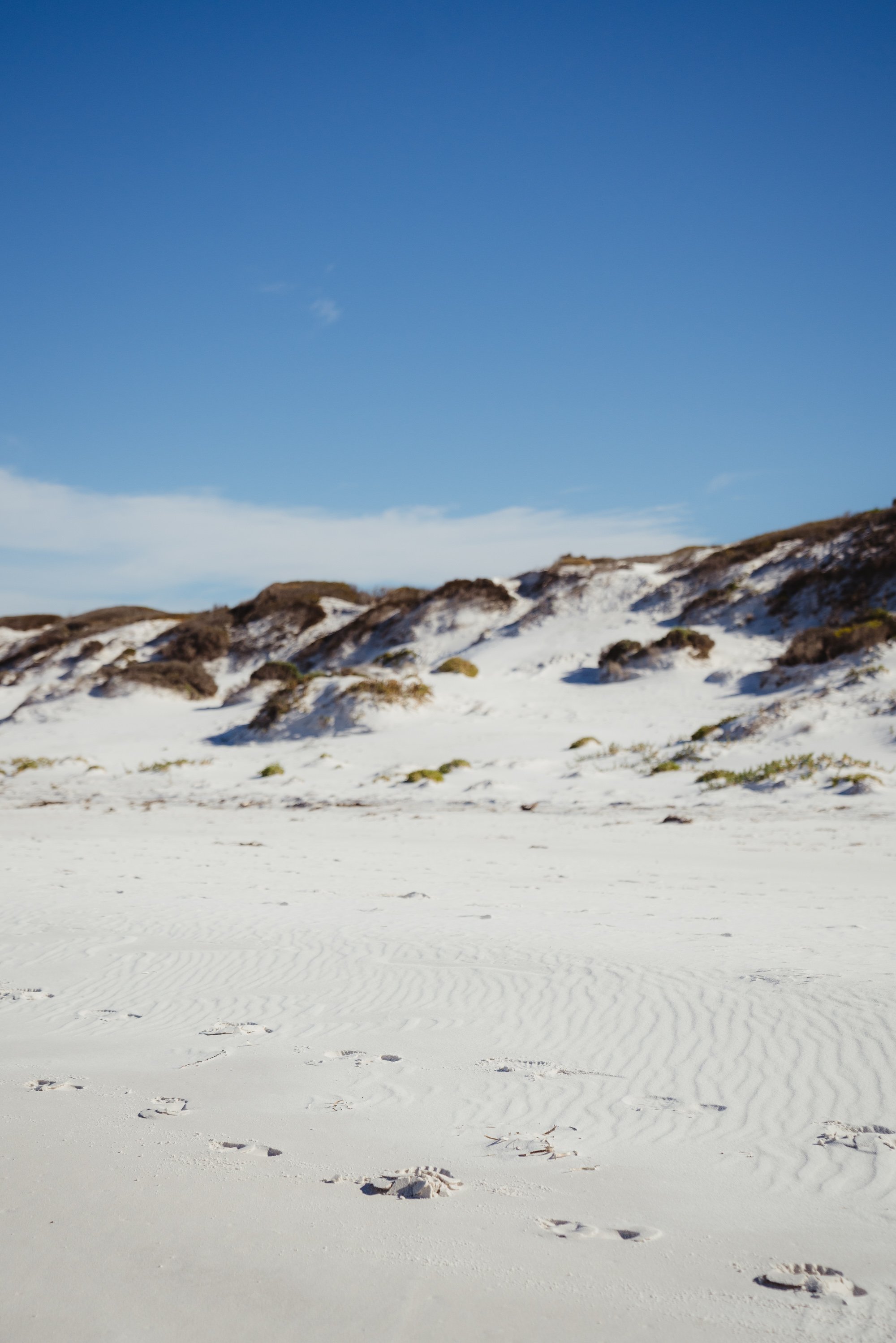 Event-BluebackBeachCleanup-June24-116.jpg