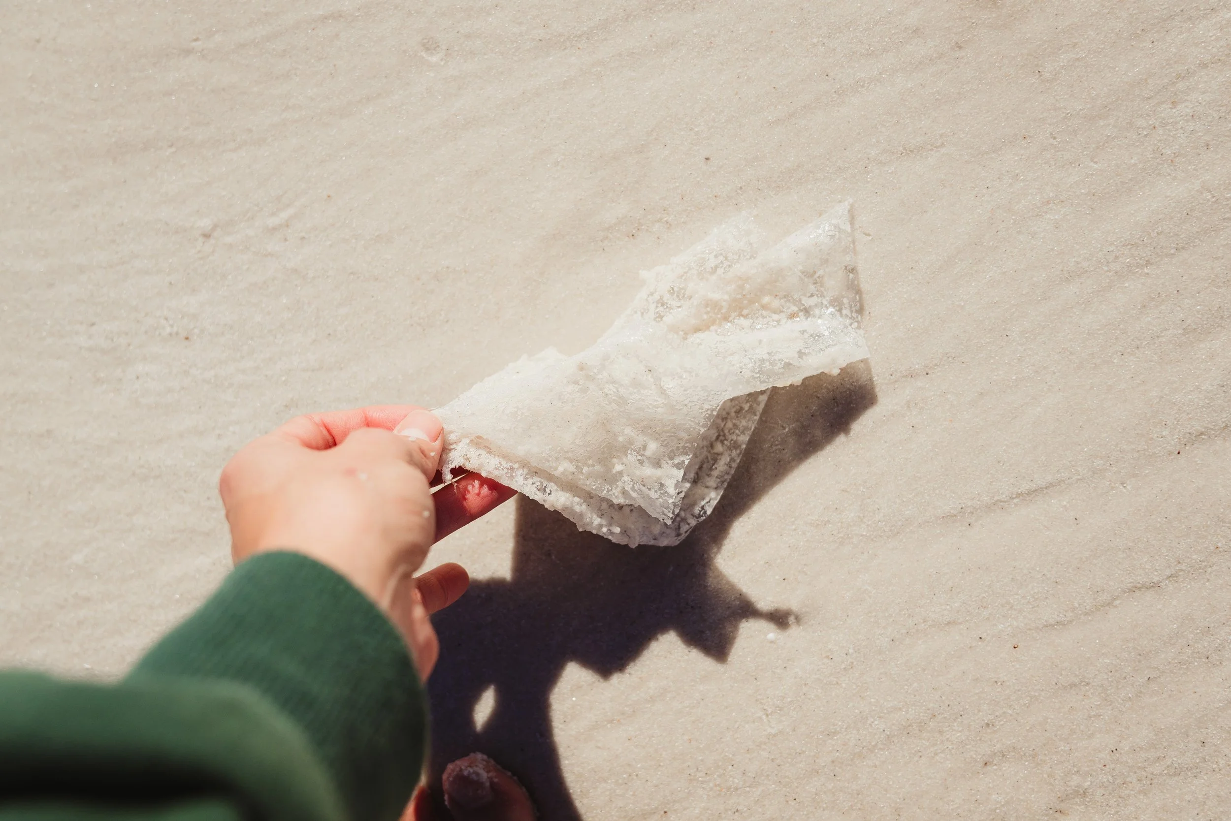 Event-BluebackBeachCleanup-June24-44.jpg