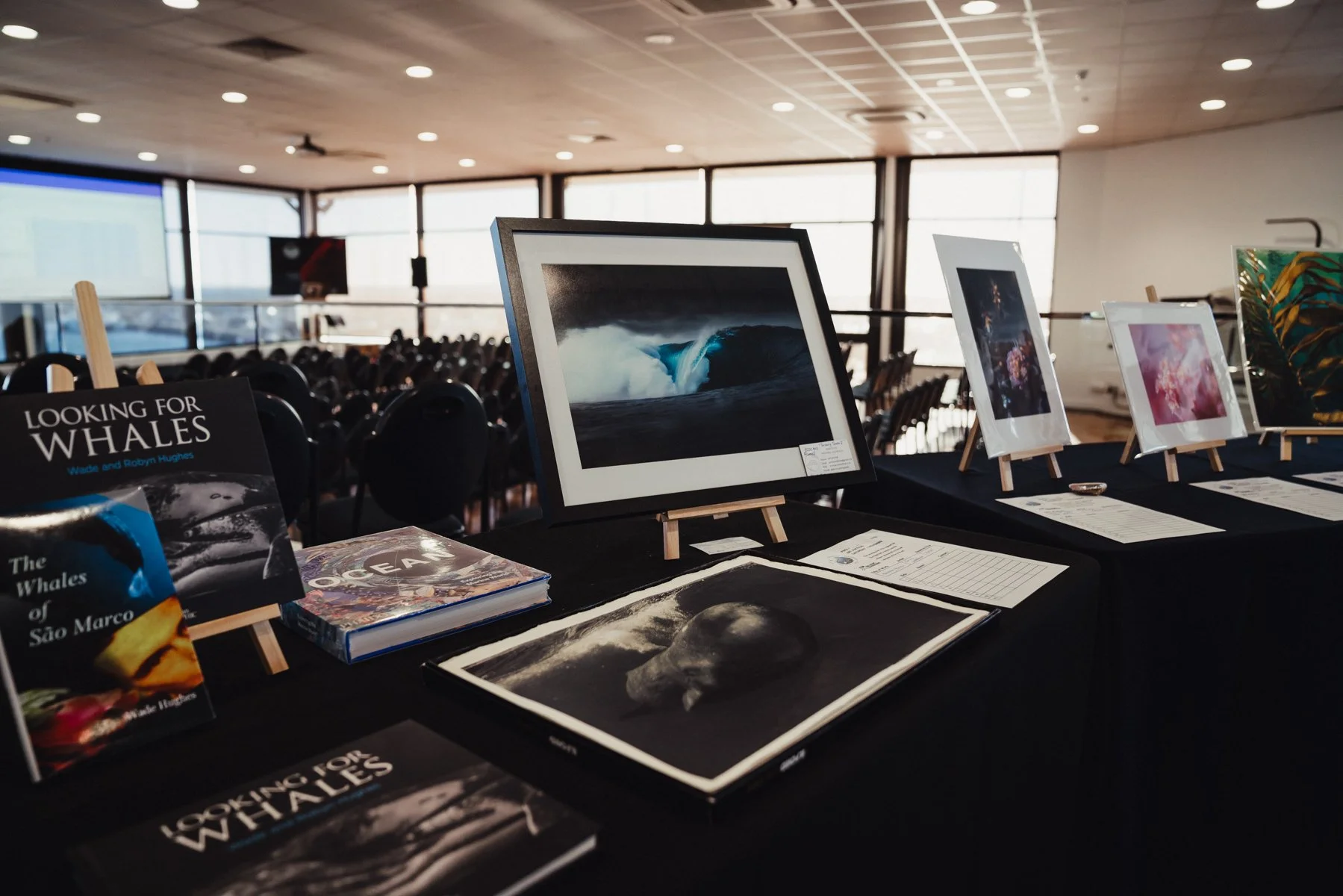 FremantleUnderwaterFilmFest-LR-1.jpg