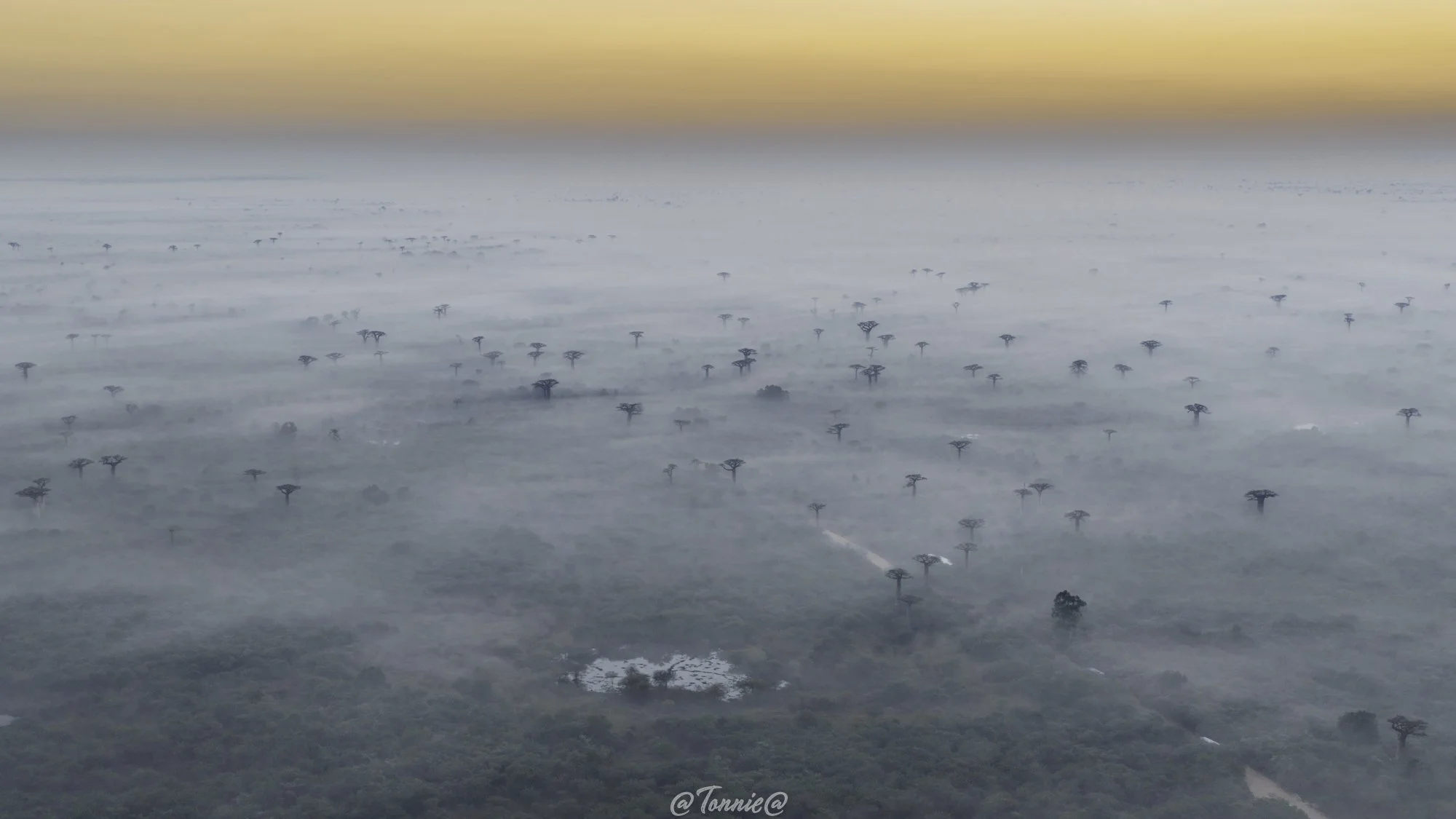 Madagascar Drone Avenue des baobabs met oranje ochtendlicht ss.jpg