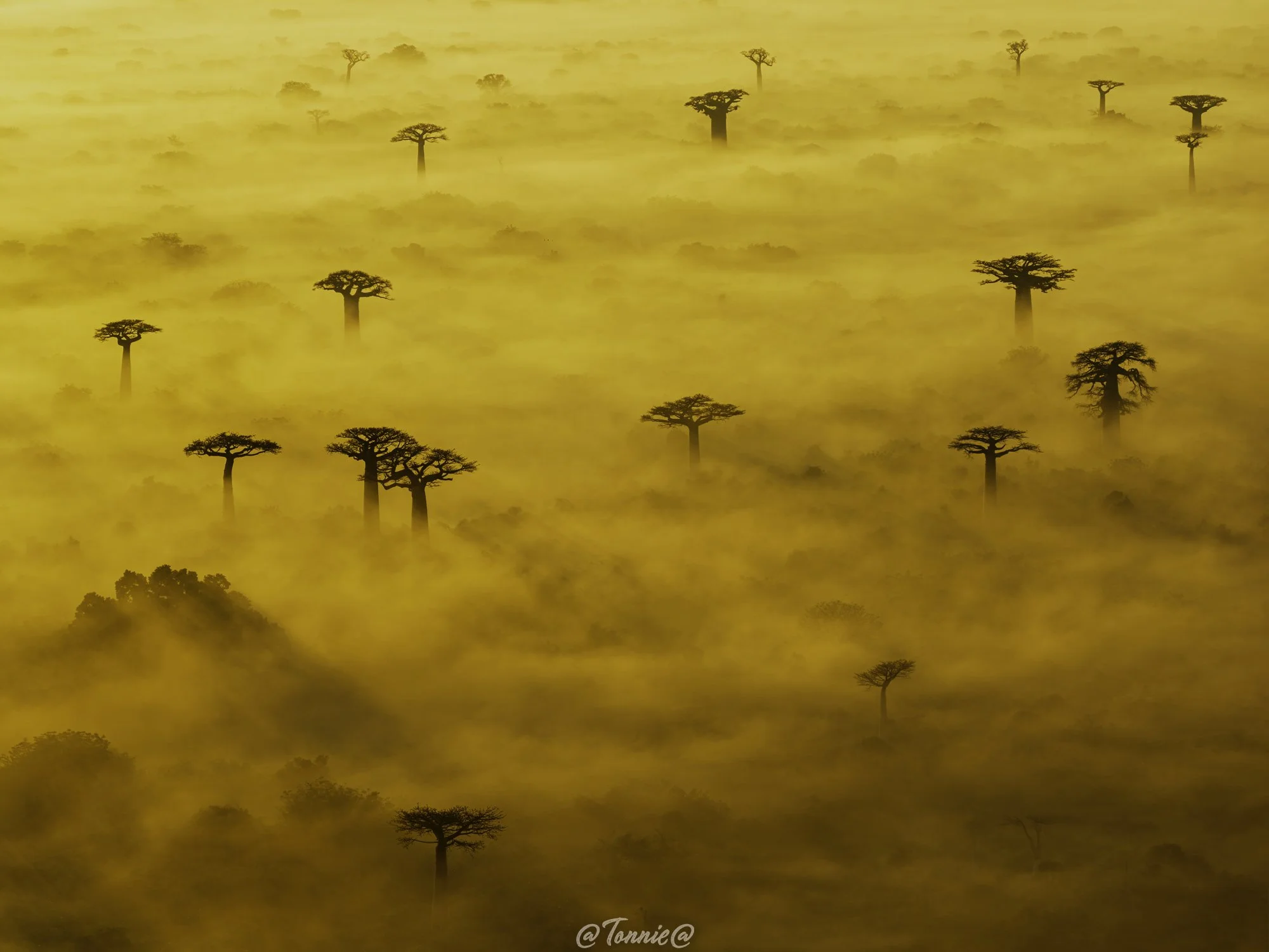 Madagascar drone sunrise orange ss.jpg
