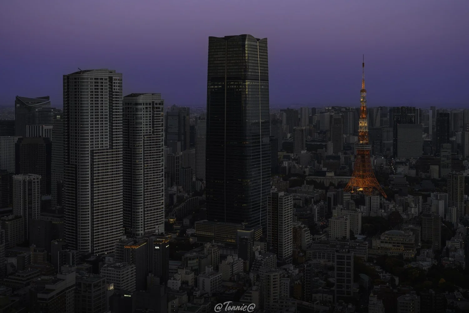 Tokyo tower at sunset squarespace.jpg