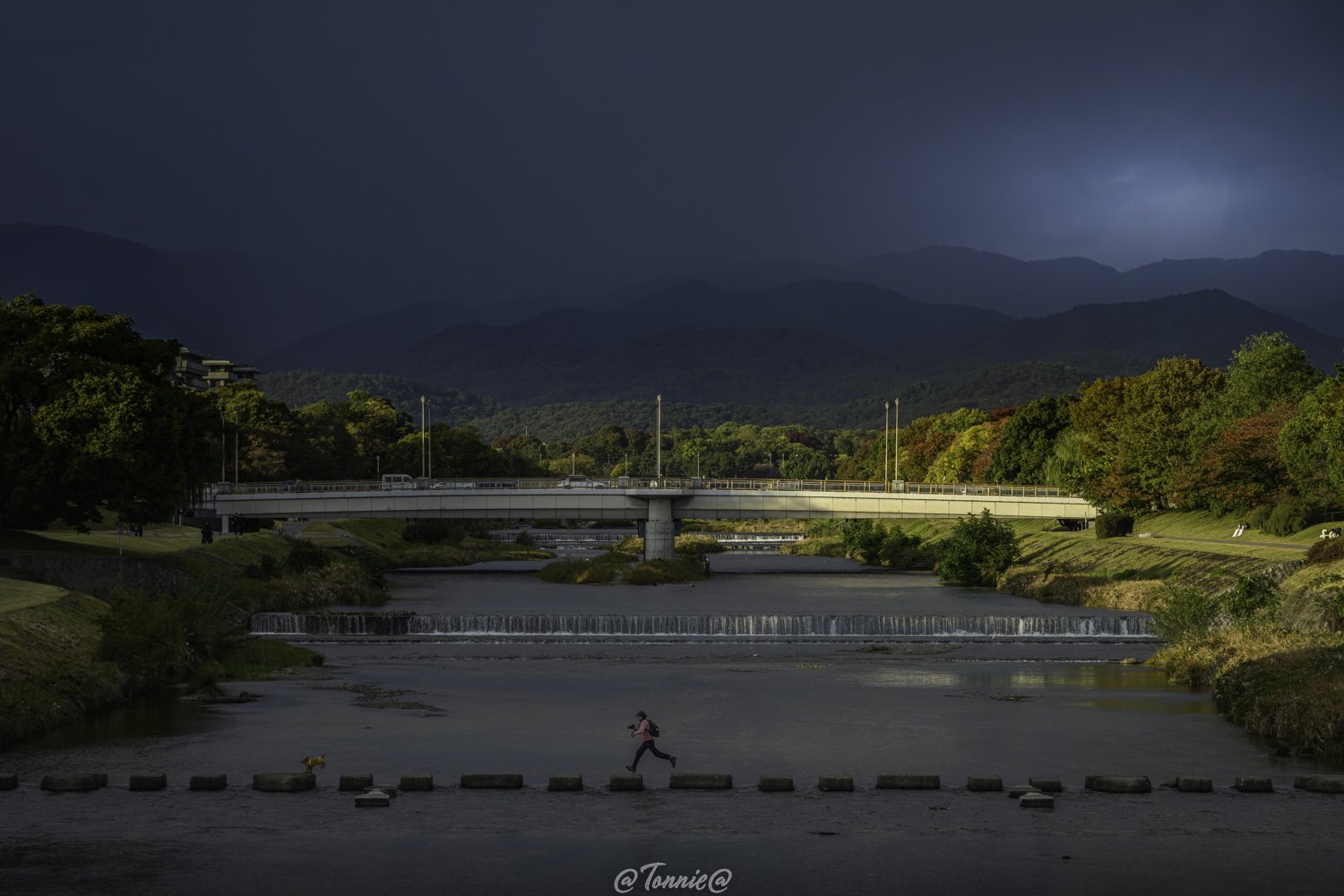 Kyoto brug running the dog ss.jpg