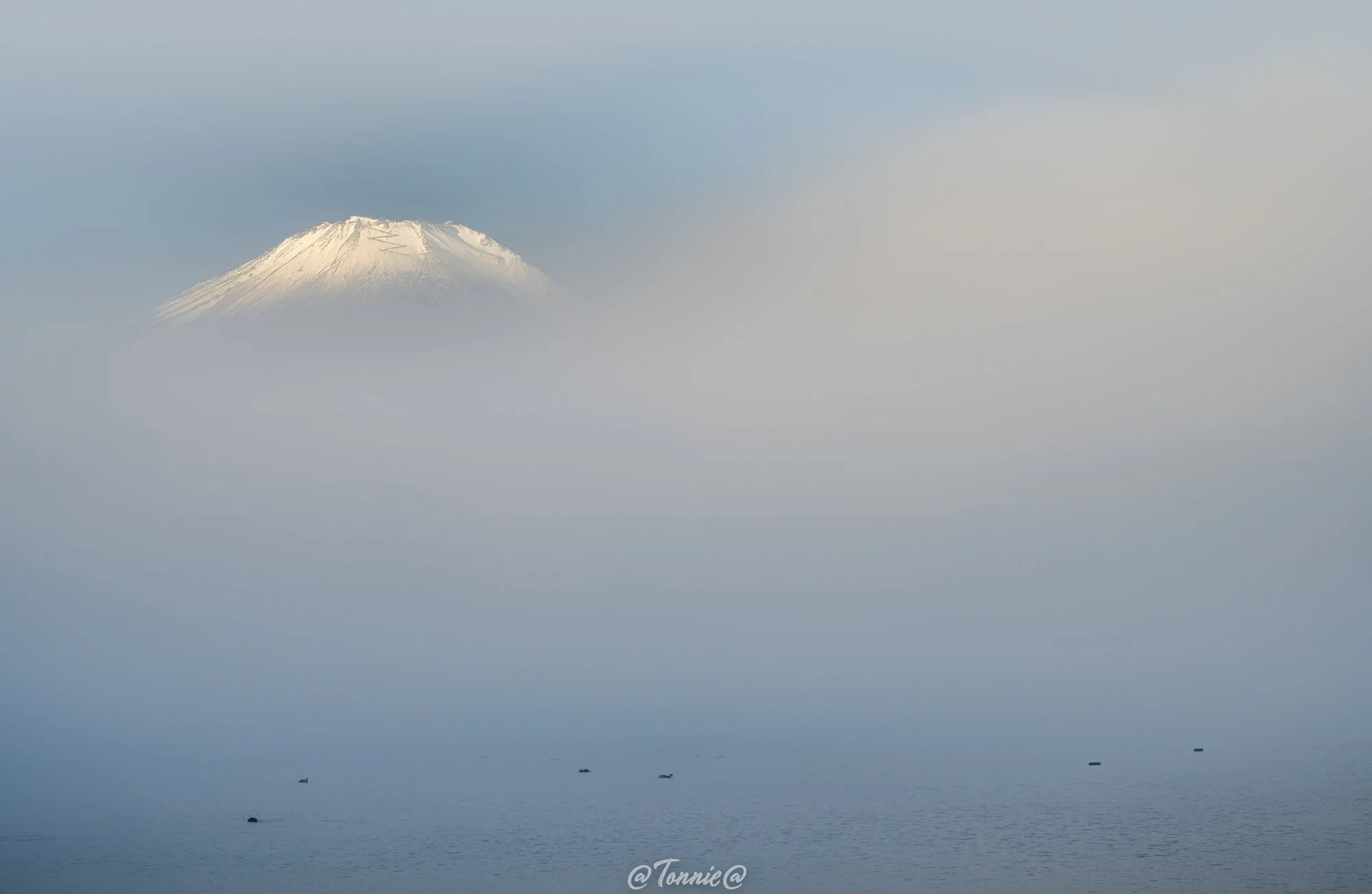 Mt Fuji in de mist met eendjes squarespace.jpg