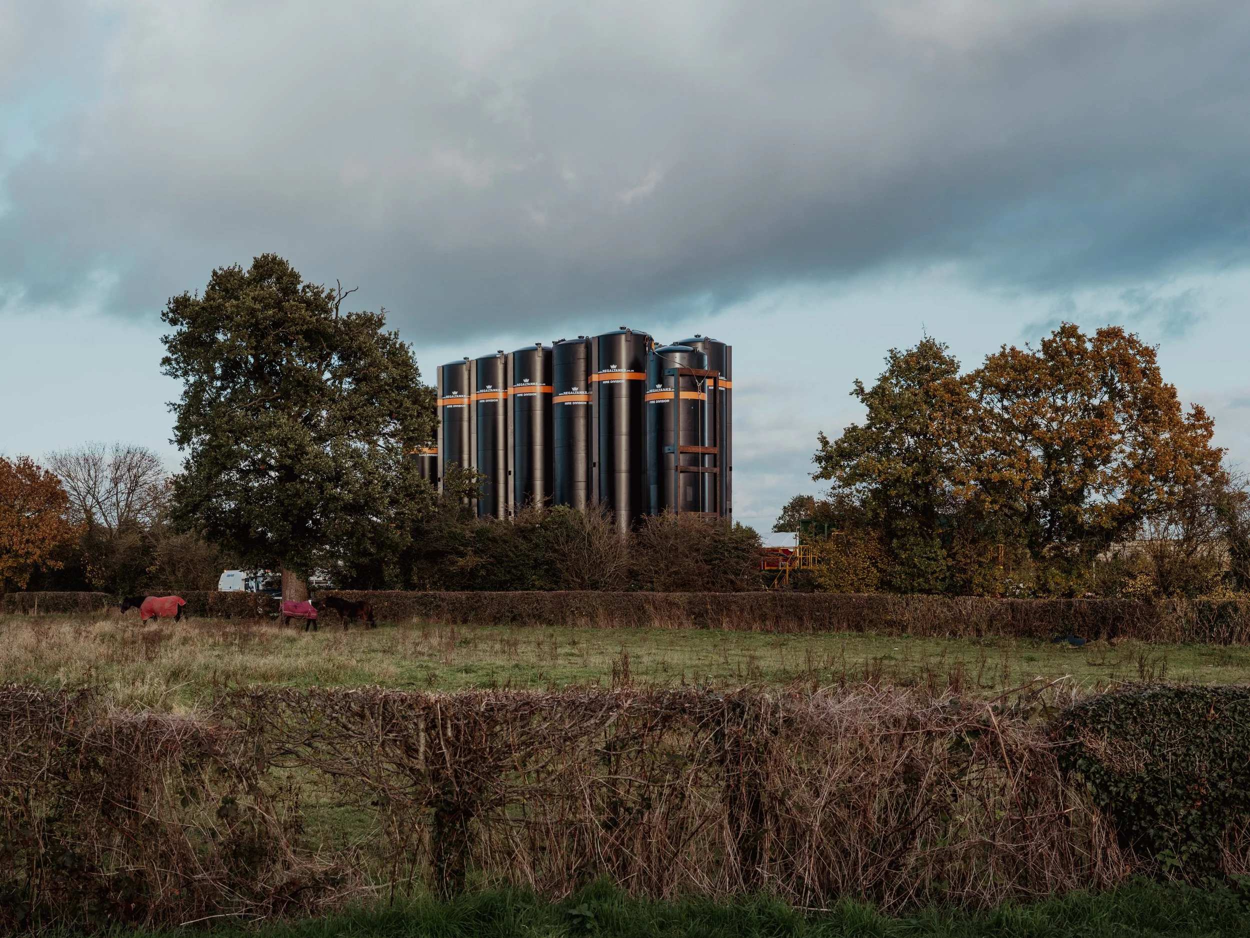 DSCF5050.jpg