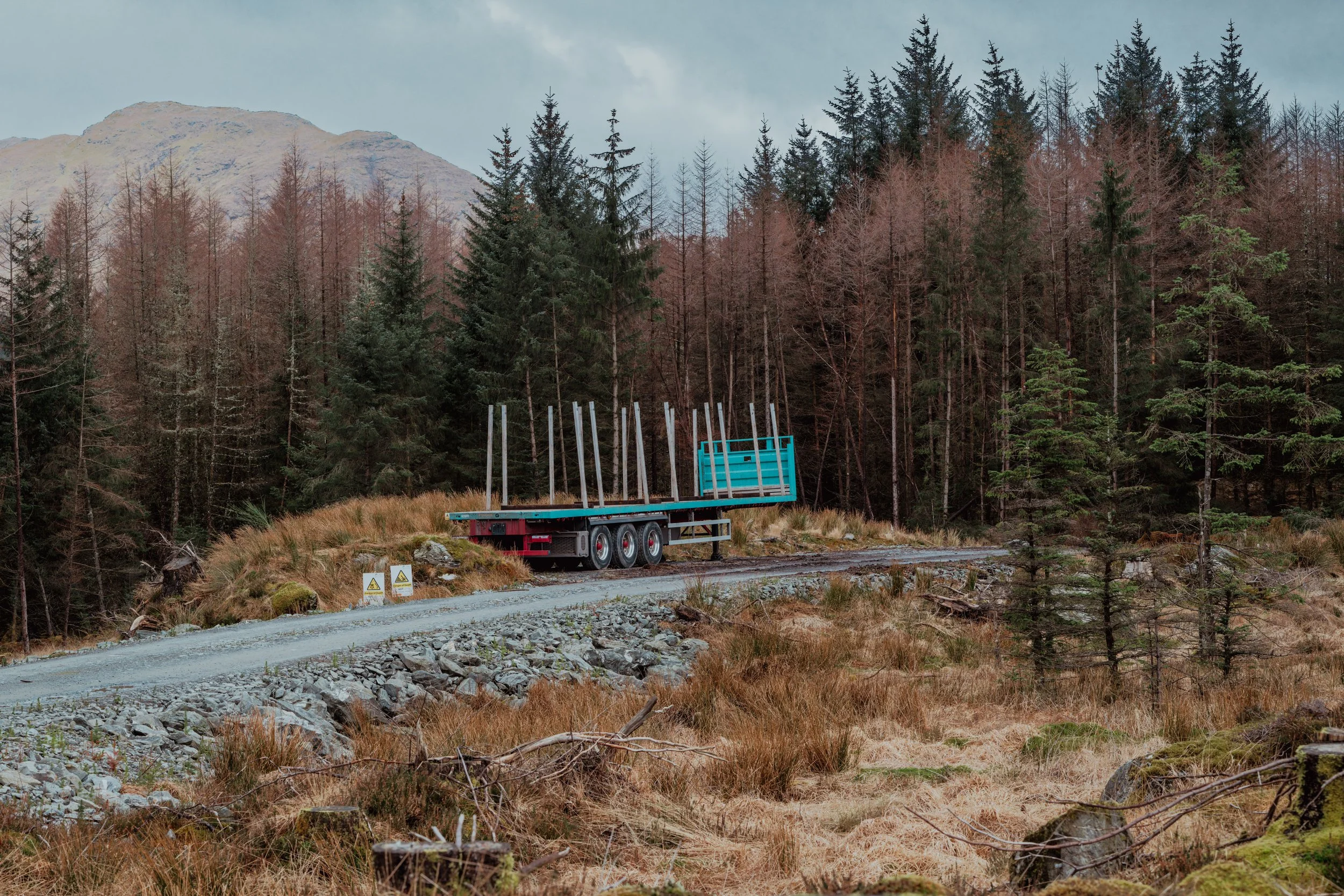 DSC_0225.jpg