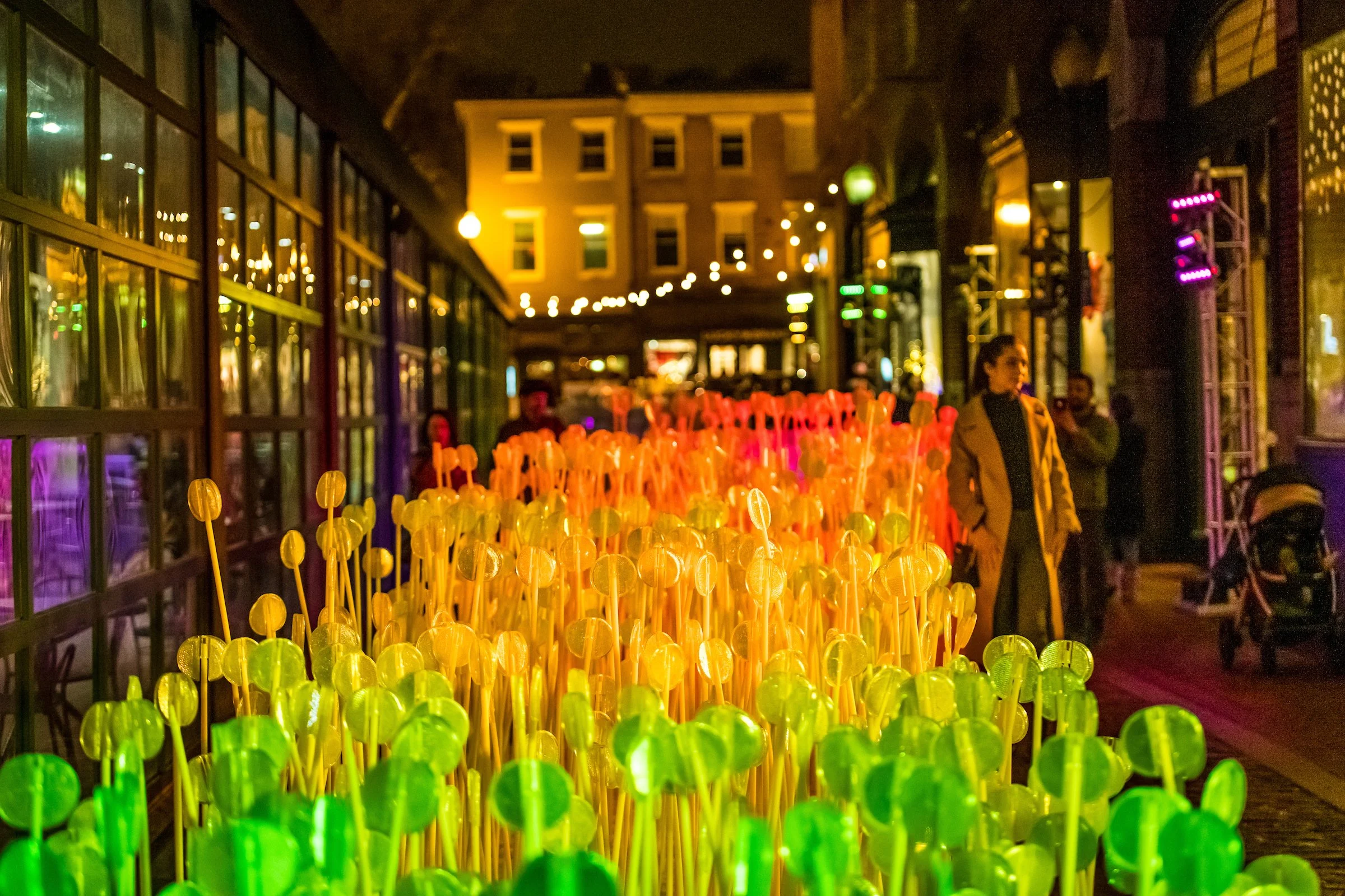 EntreLesRangs01_GlowGeorgetown_SamKittner.jpg