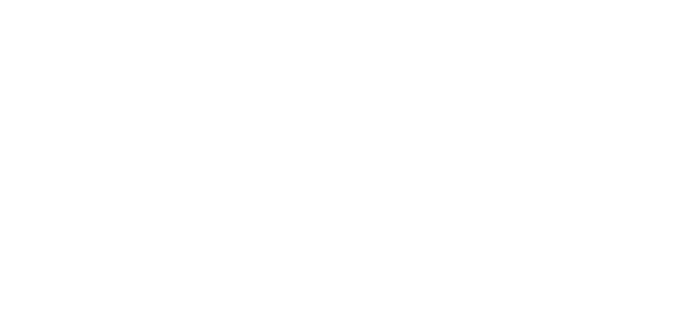 STICHTING PROJECT FEARLESS logo