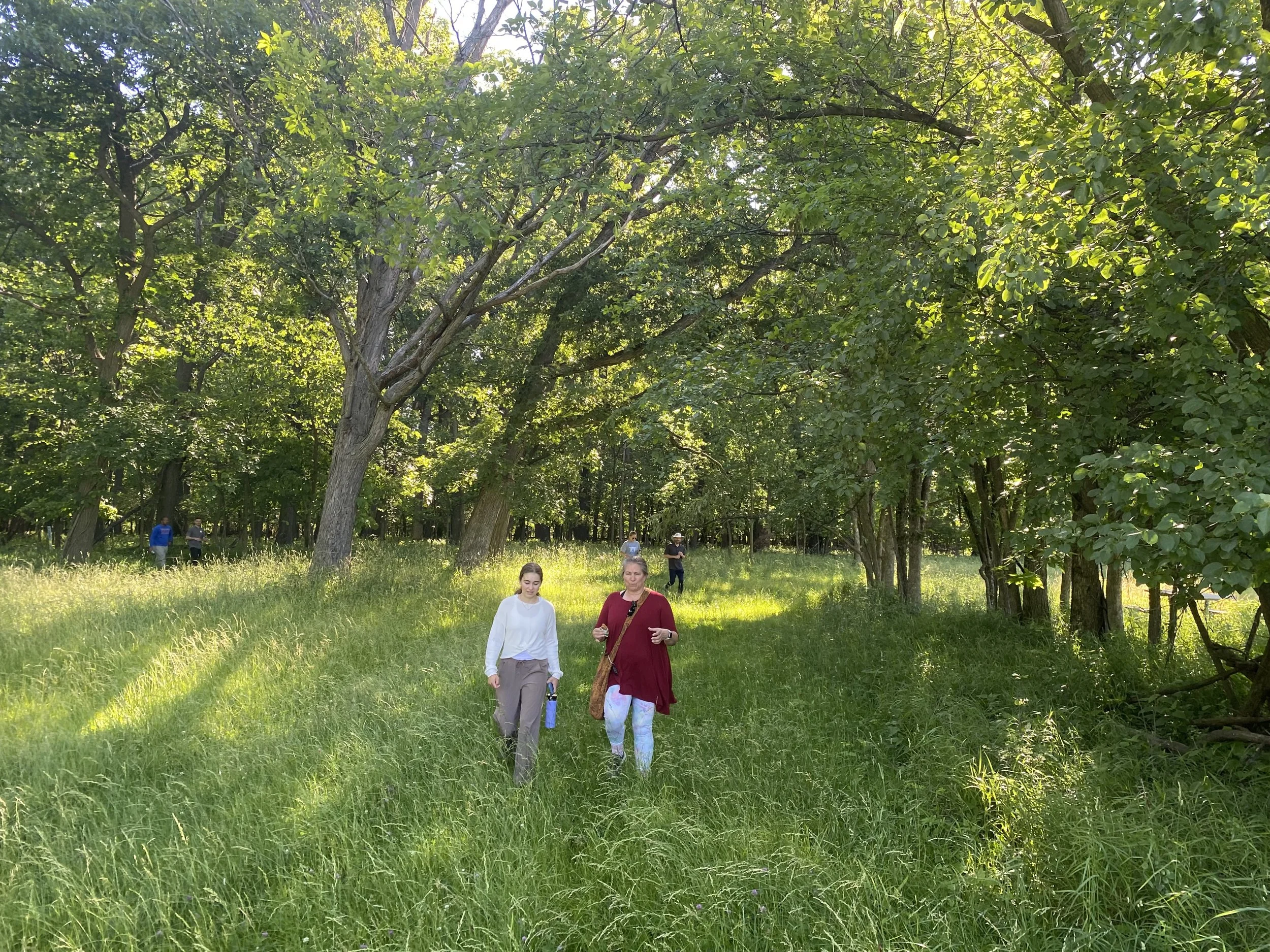 Two women walk through a sunny forest in conversation