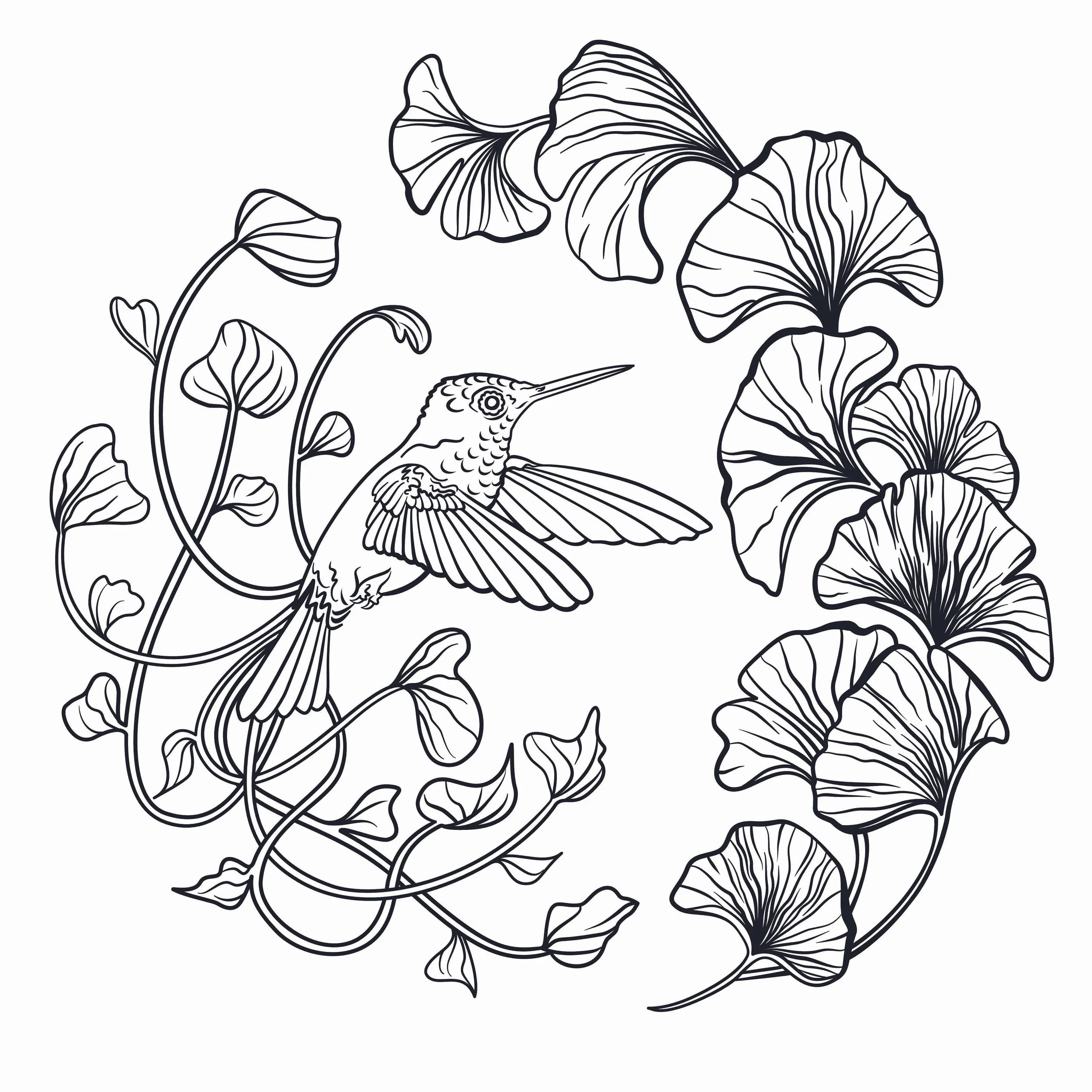 ginko hummingbird.jpg