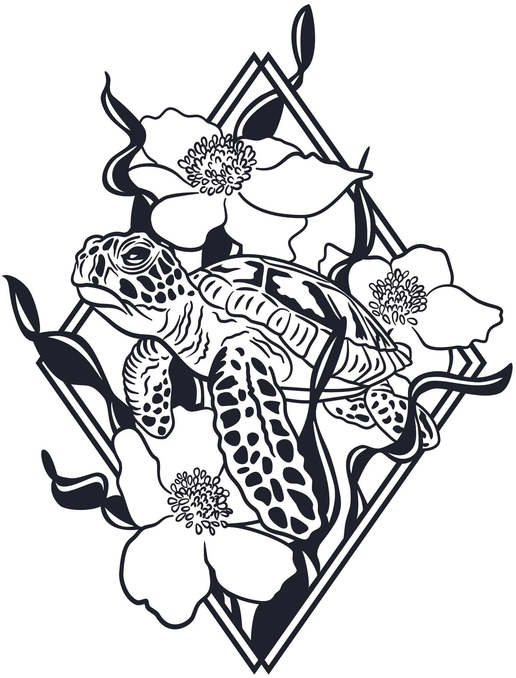 sea turtle anenomes website.jpg