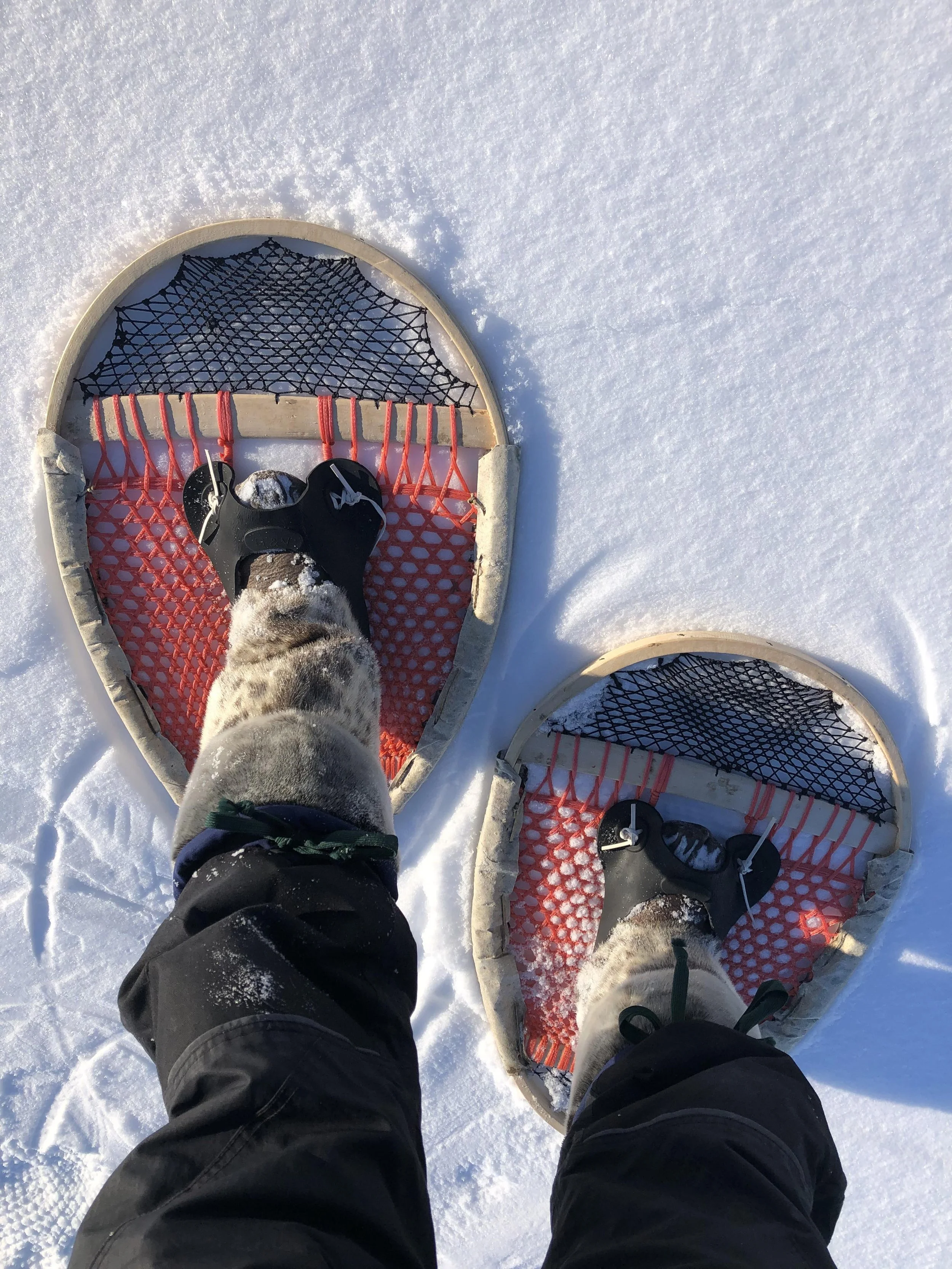 Snow Shoes.jpeg