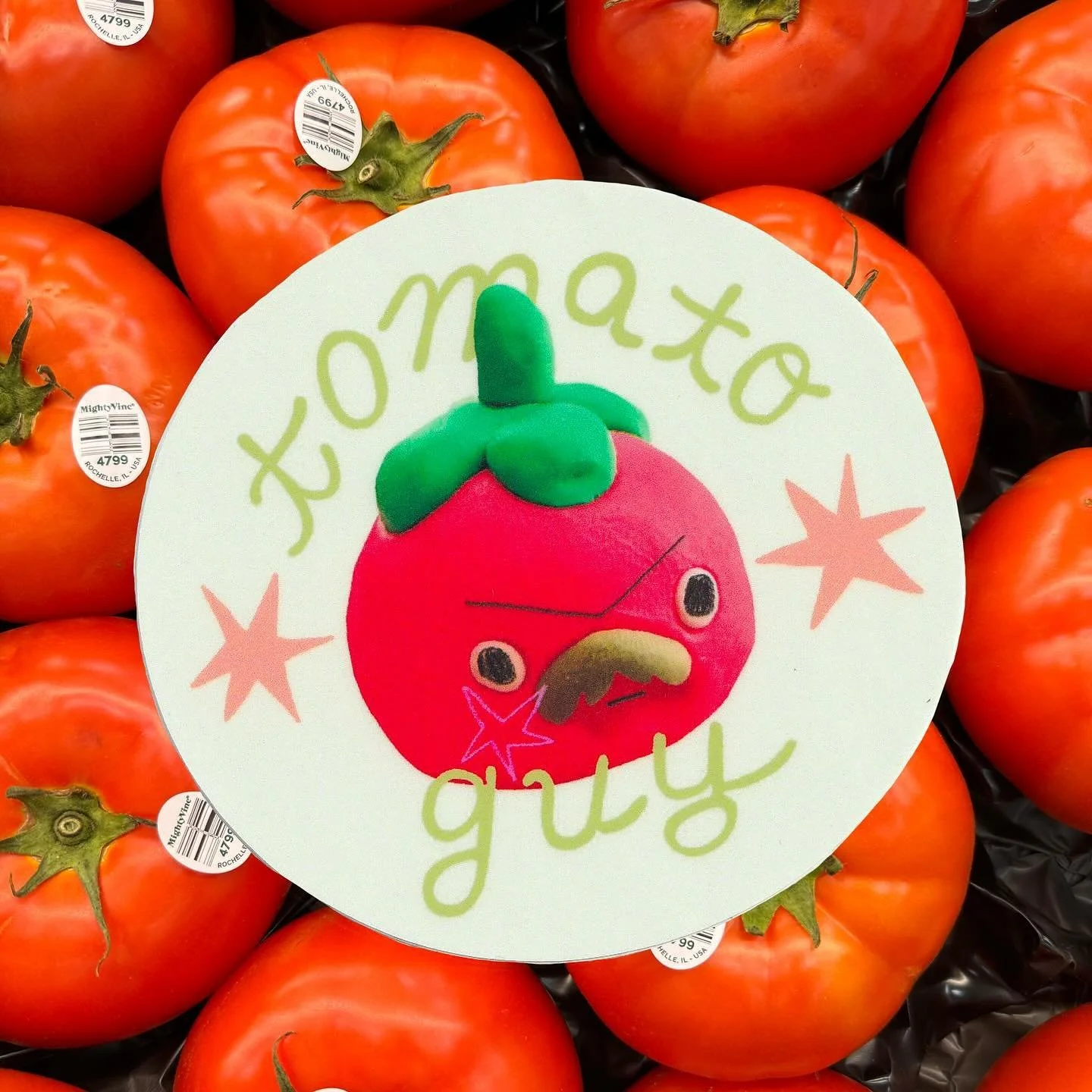 shop update is live with some new cuties!!! 🍅

i&rsquo;m also offering a free tote on every order over $50 USD :D

last day to shop is 12/8 before the store closes back up again!!