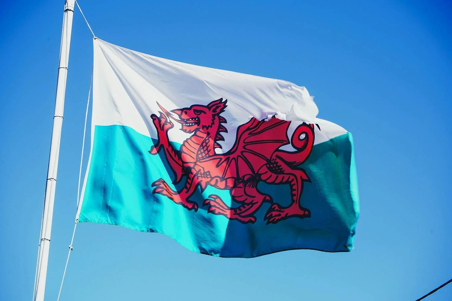 Welsh flag flying on a white pole with a blue sky in the background
