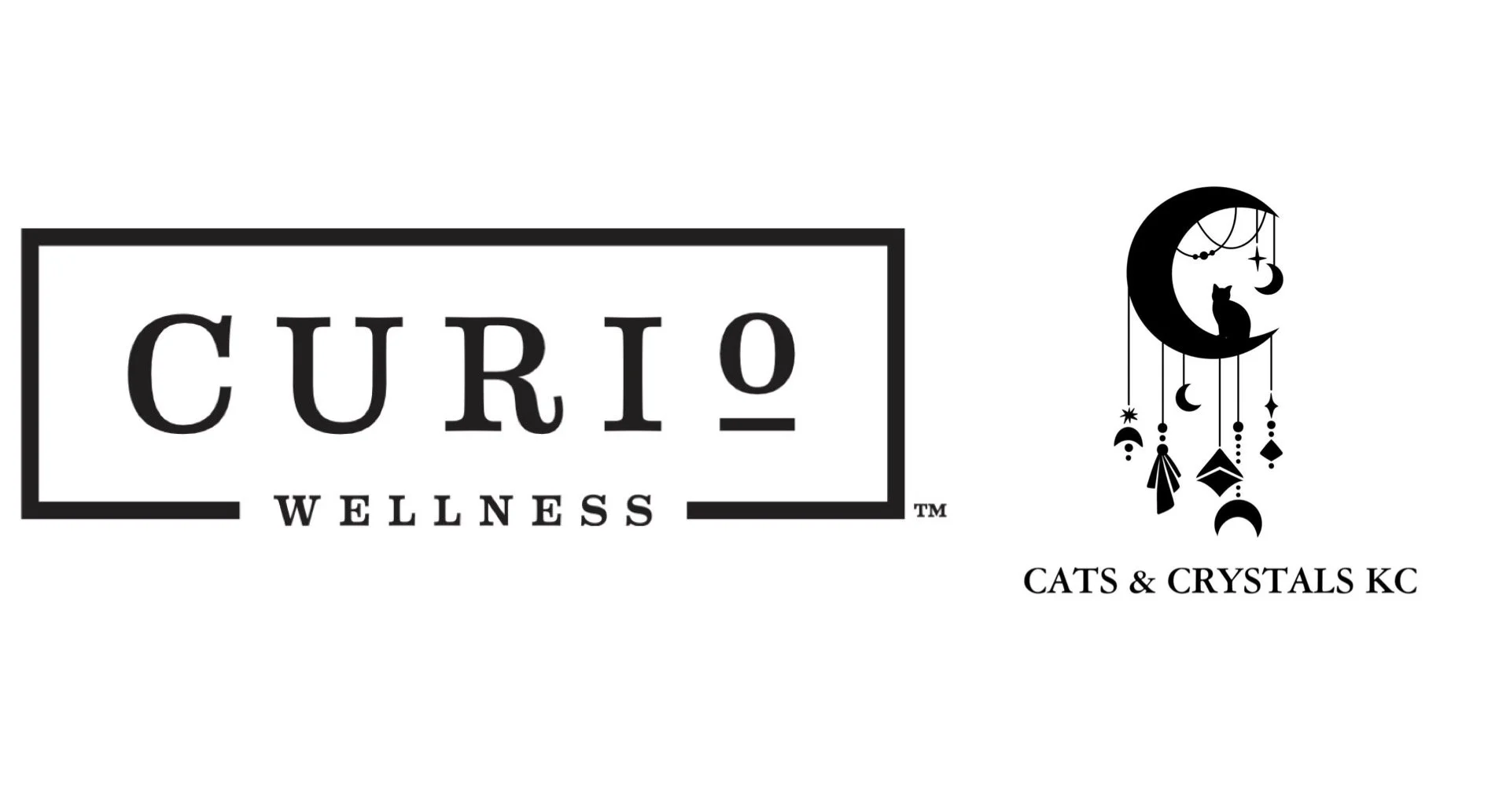 Community Education Event at Cats & Crystals KC | Curio Wellness