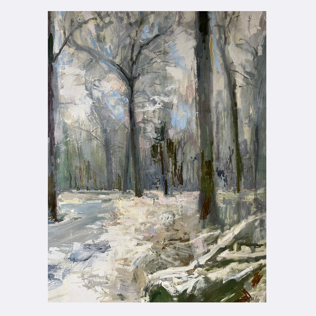 Path in the snowy woods