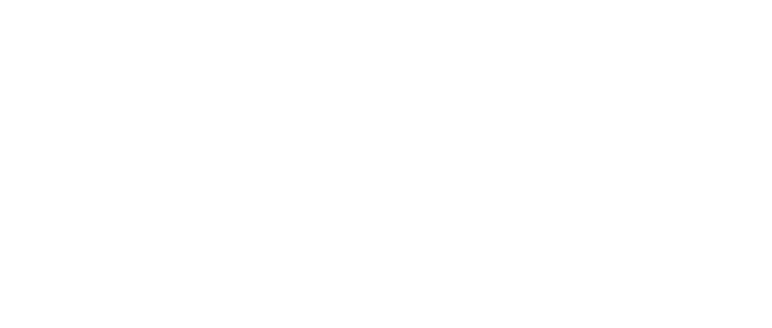 Motionsmith Studios