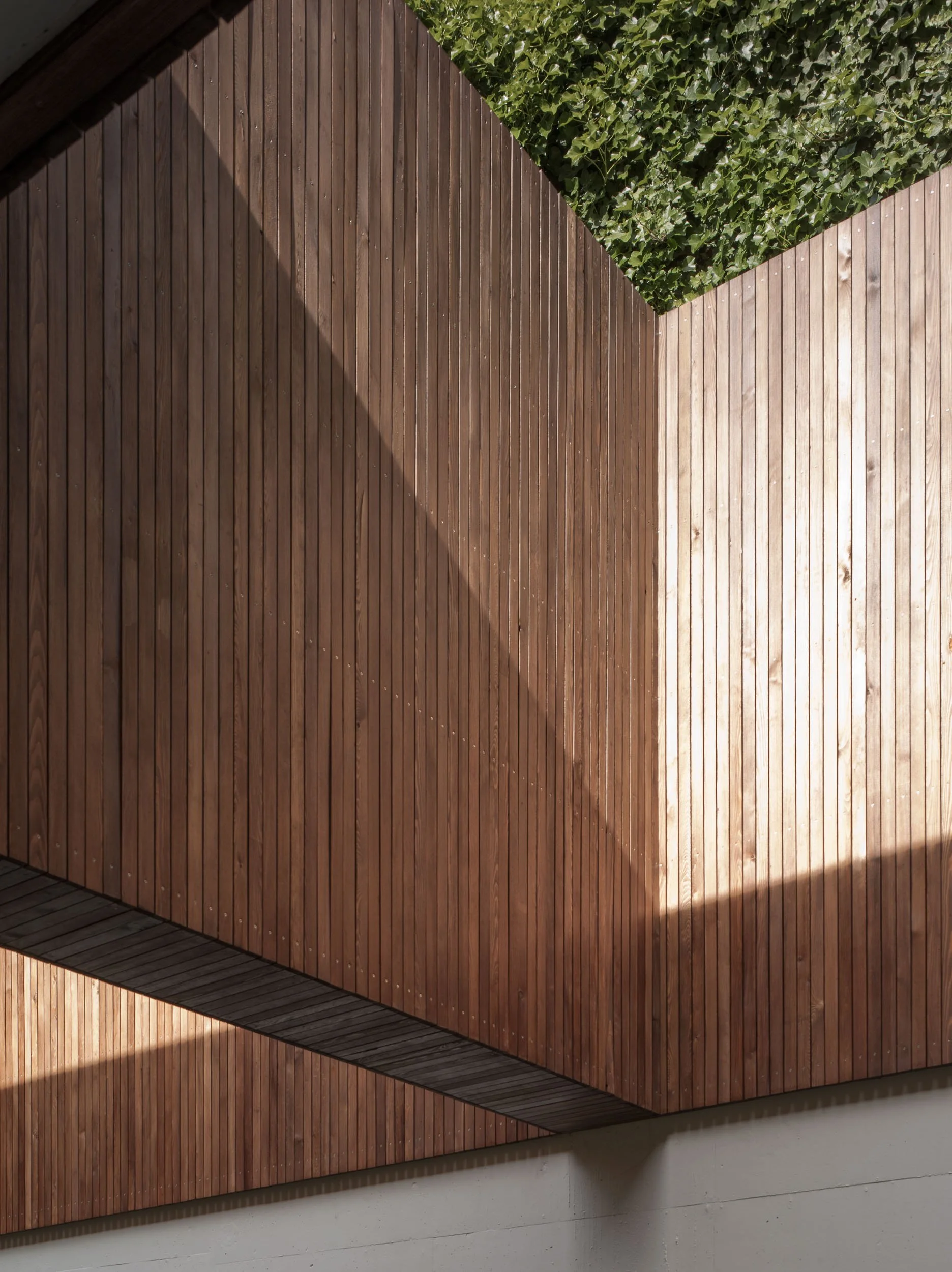 A modern architectural structure featuring a ceiling with wooden slats arranged in a geometric pattern, contrasted with a section of green ivy plants hanging from above.