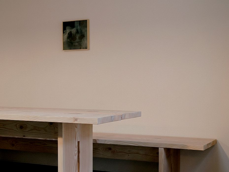 Part of a wooden table and a beige wall with a small framed photo of a dog.