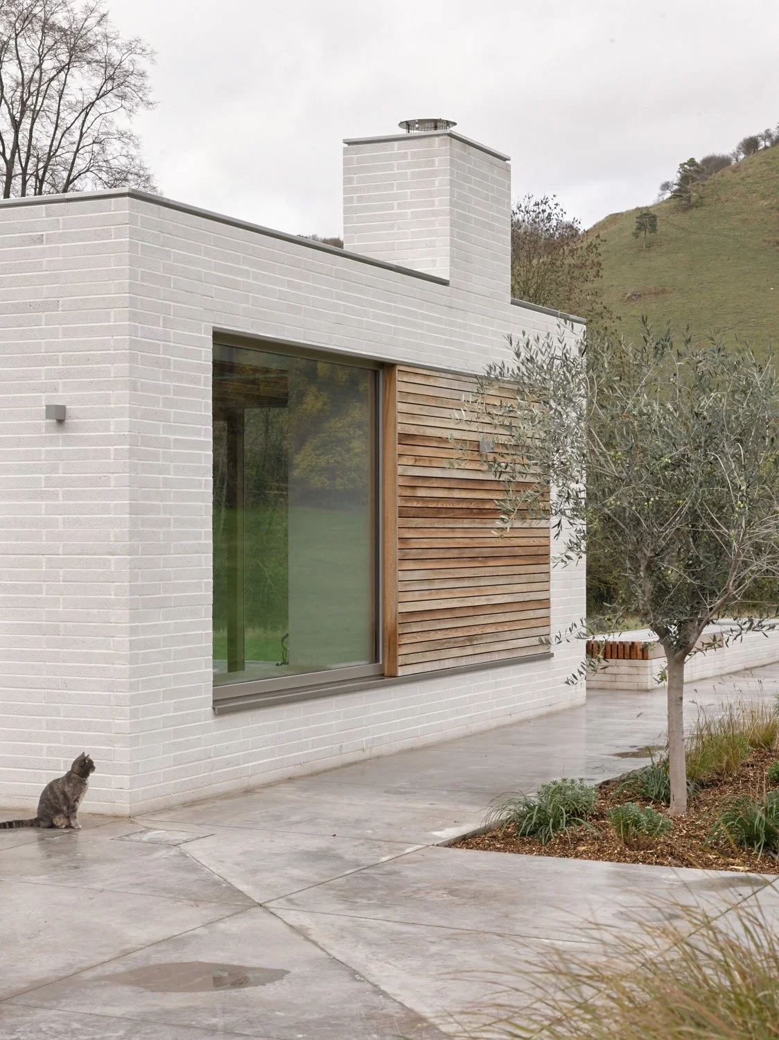 Modern white brick house with large window and wooden panel, small tree in front, and a cat sitting on concrete patio.