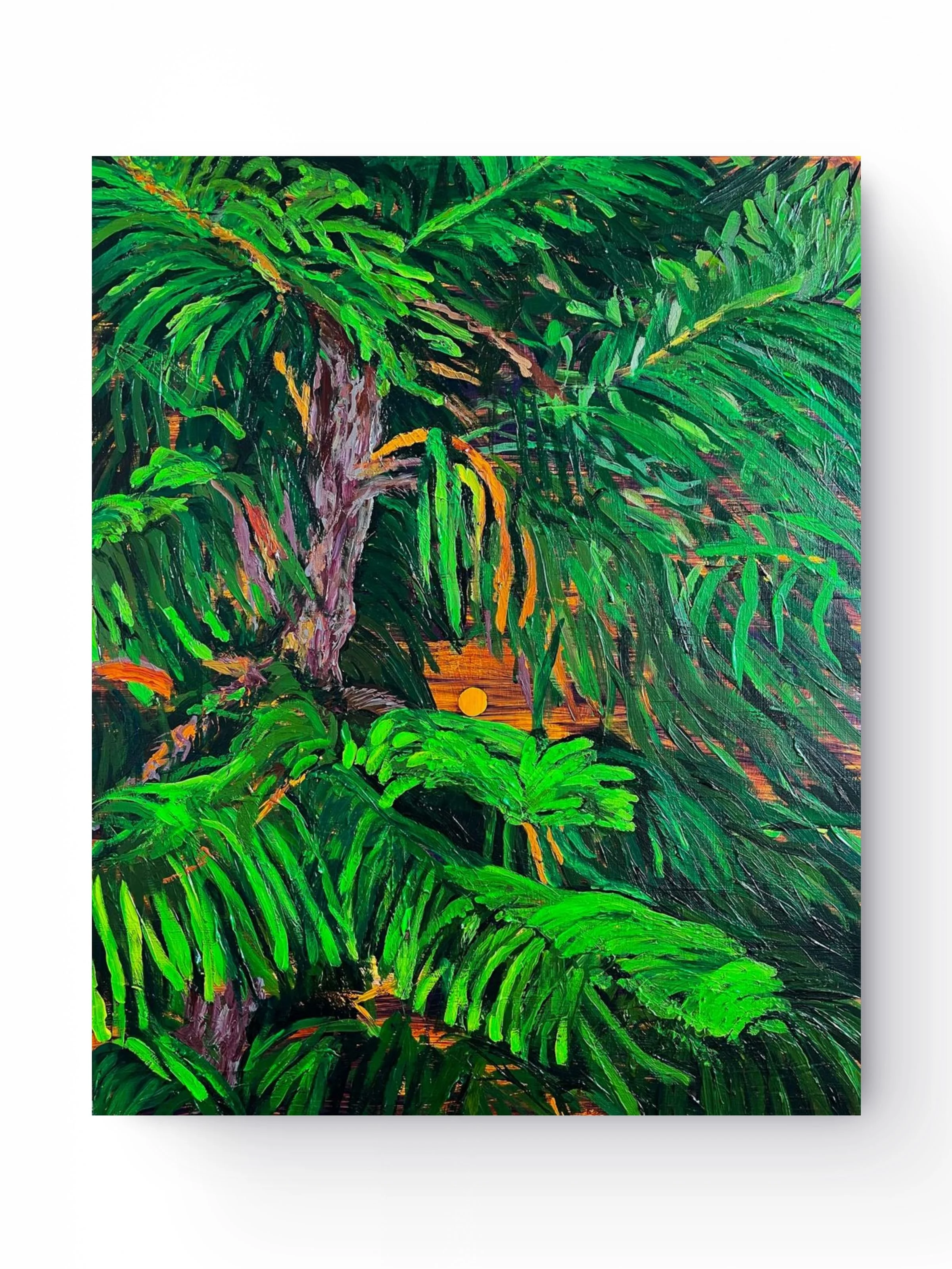 Norfolk Pine