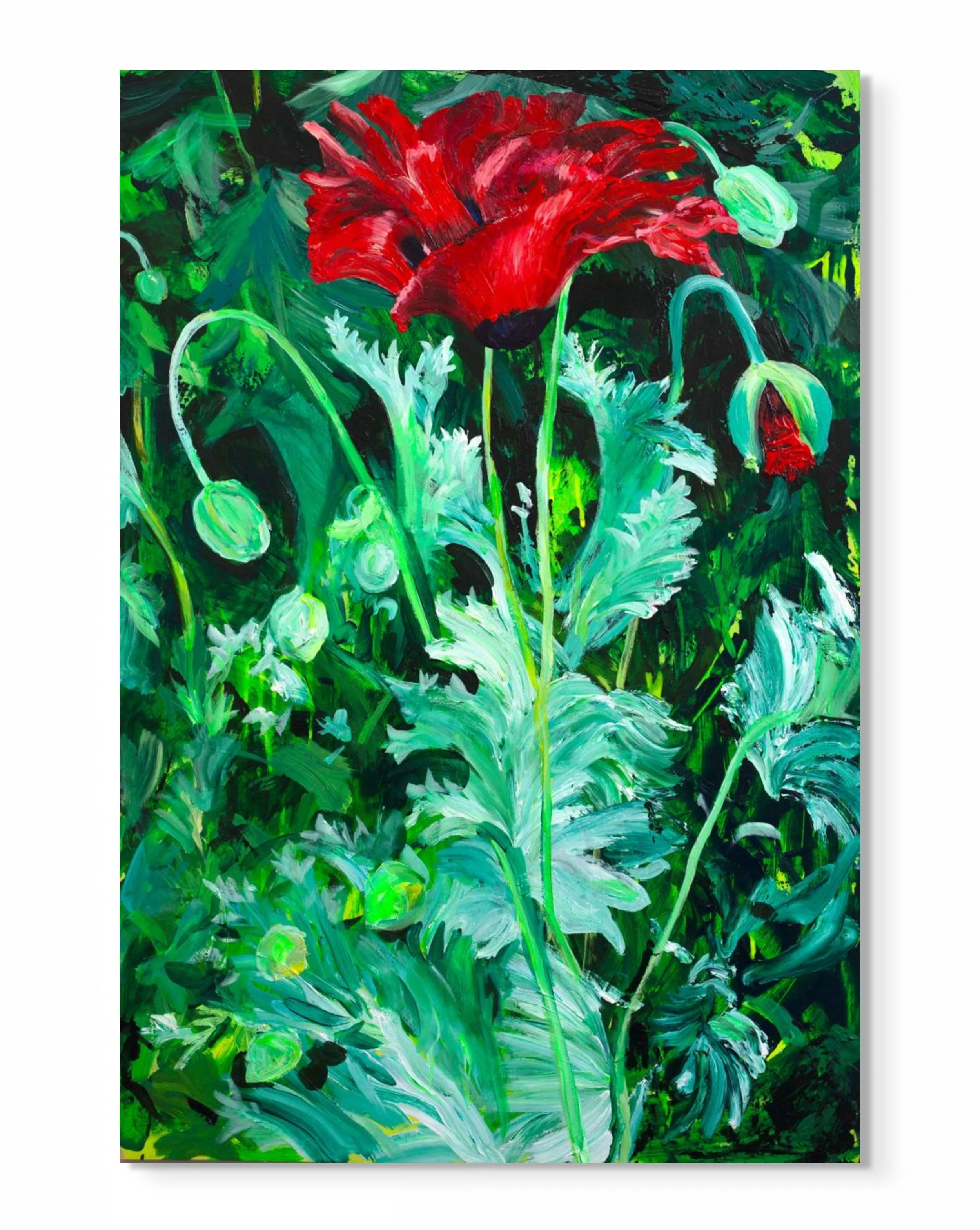 Poppy