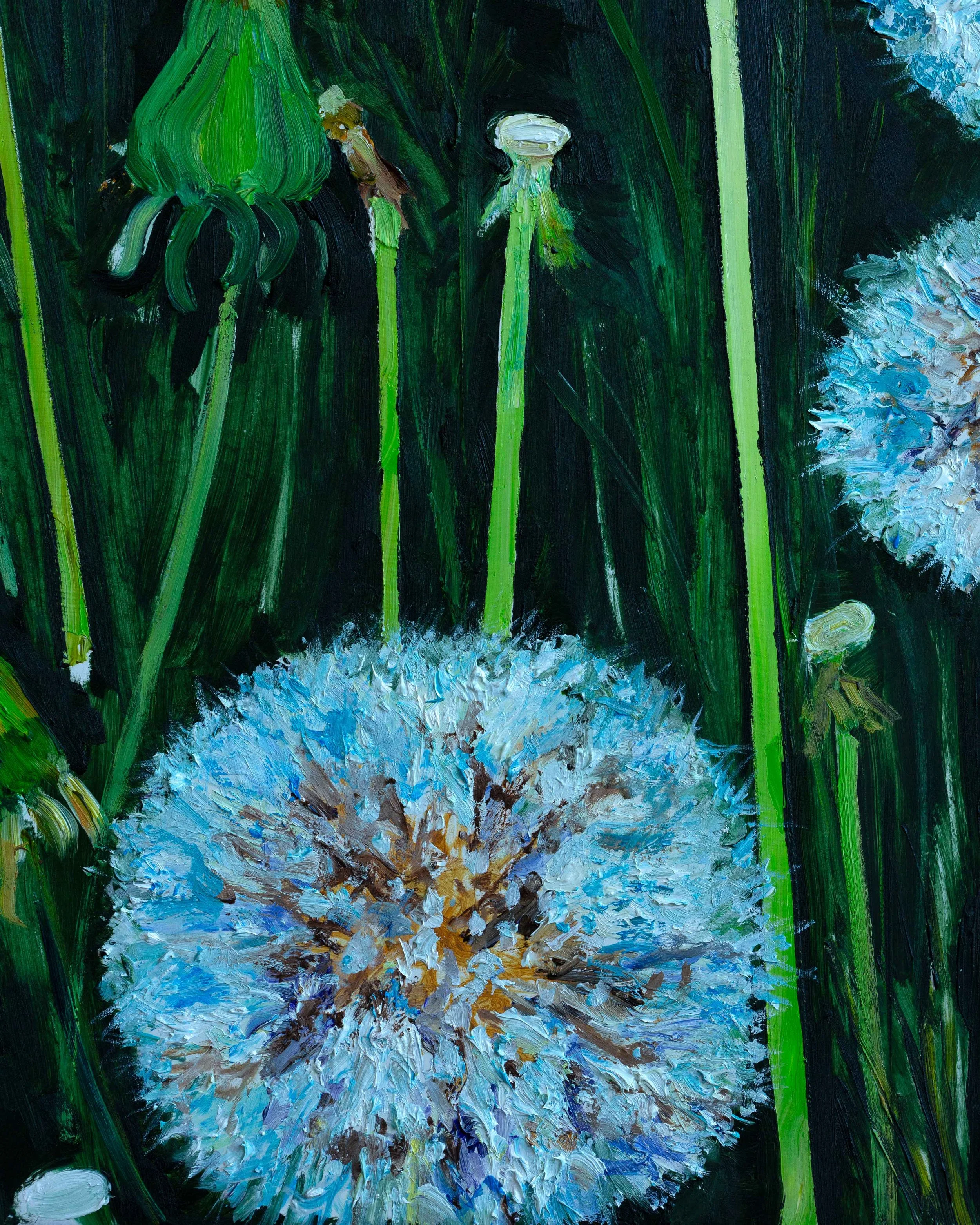 DANDELION4.jpg