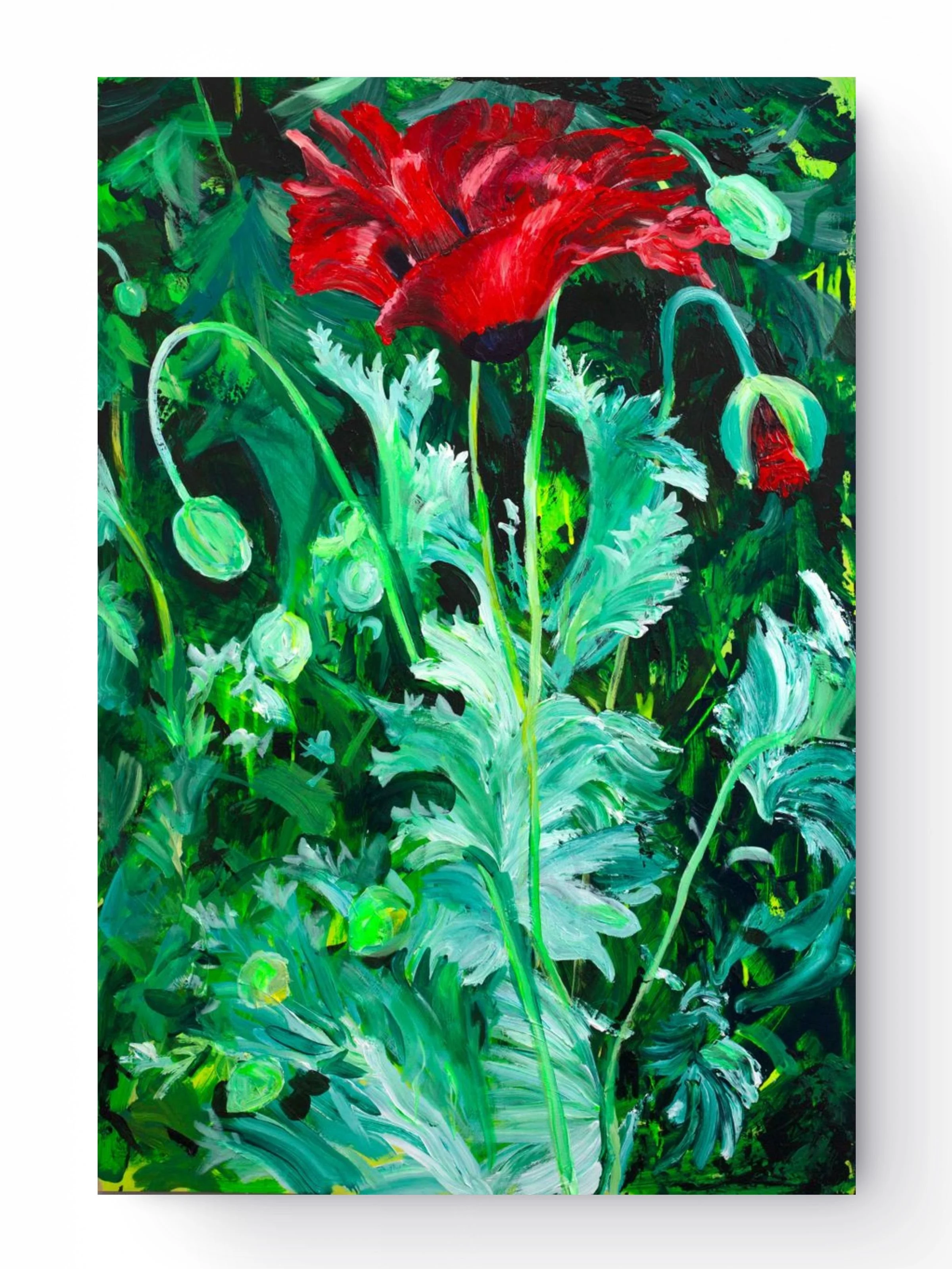 Poppy