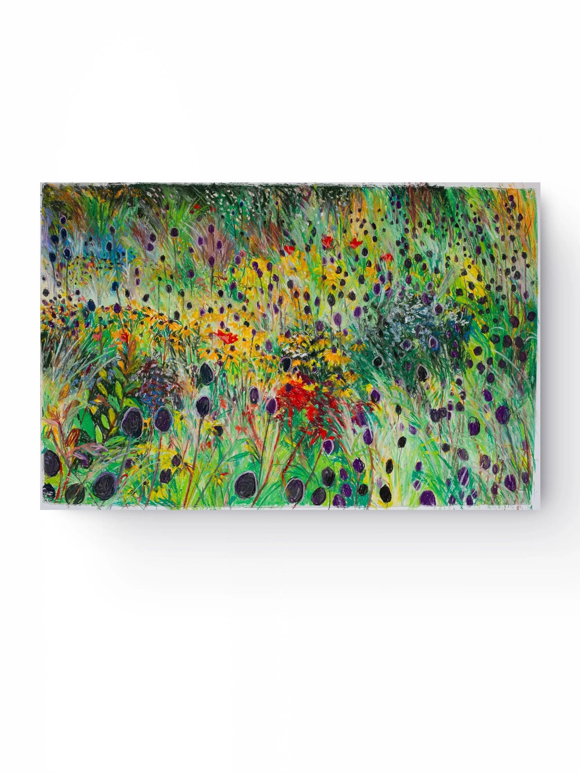 Field Notes I