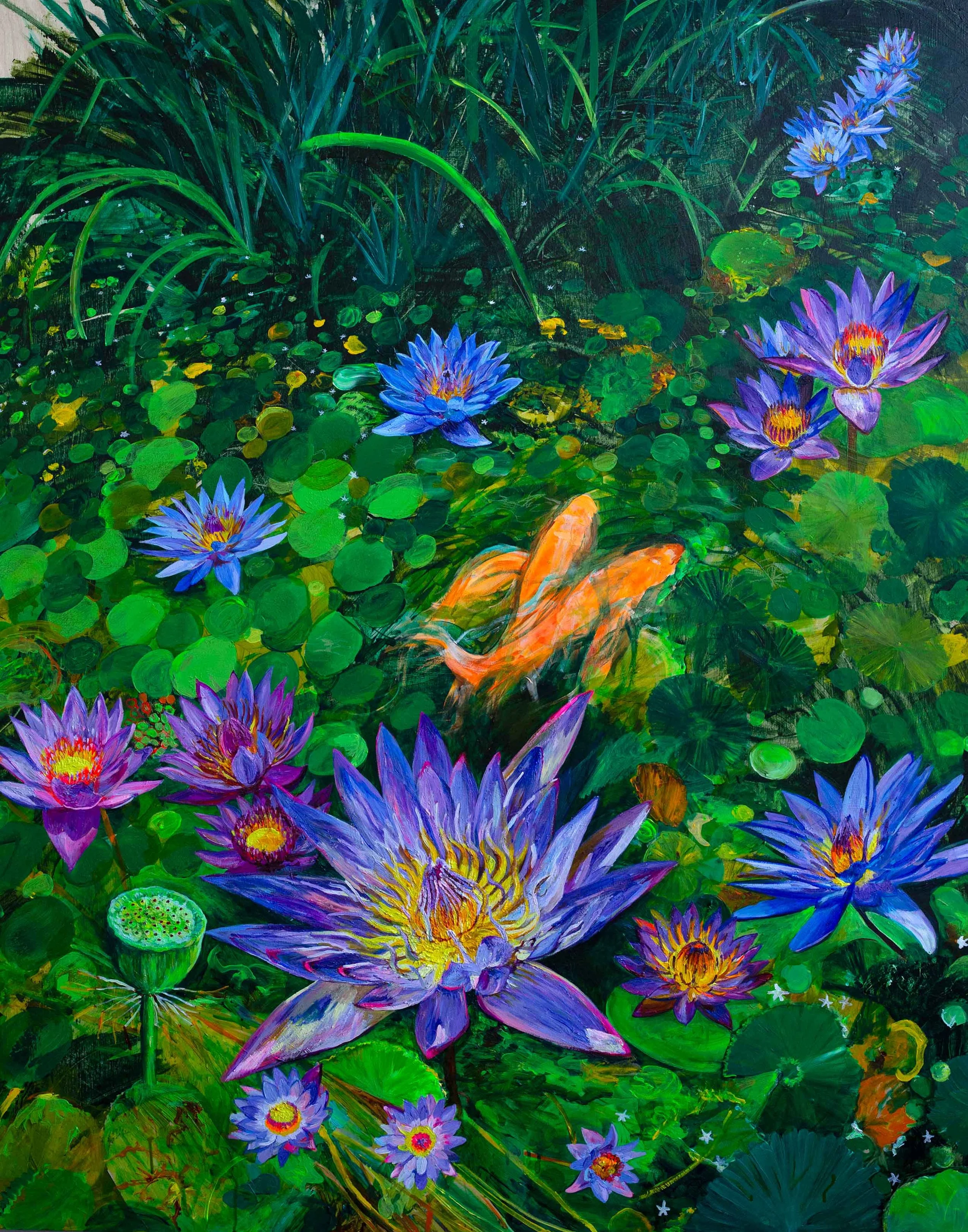 Blue Lotus Koi Archival Print