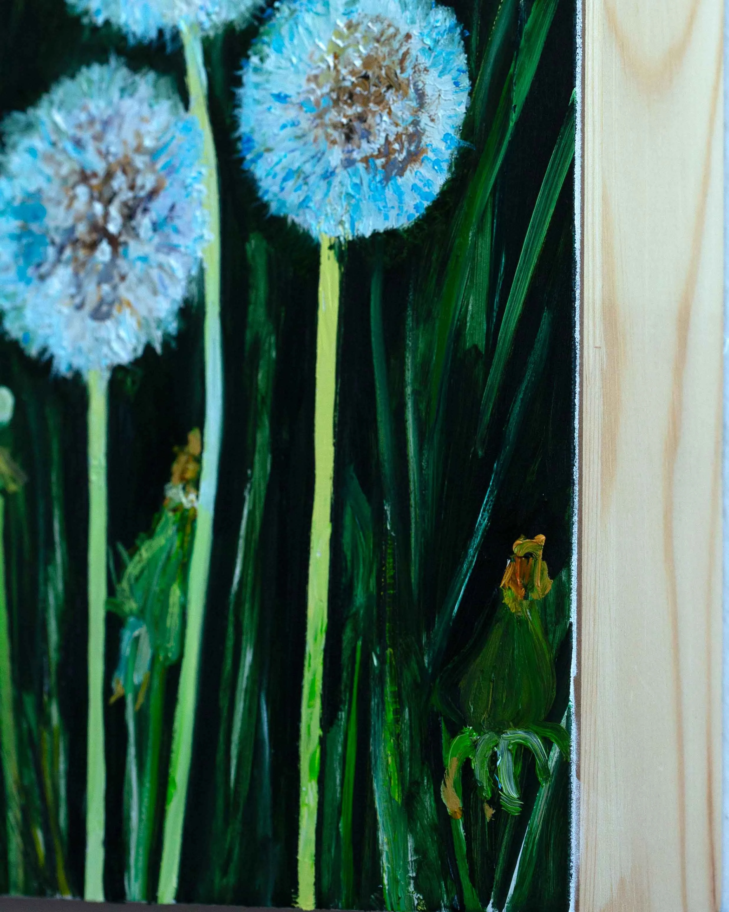 DANDELION5.jpg