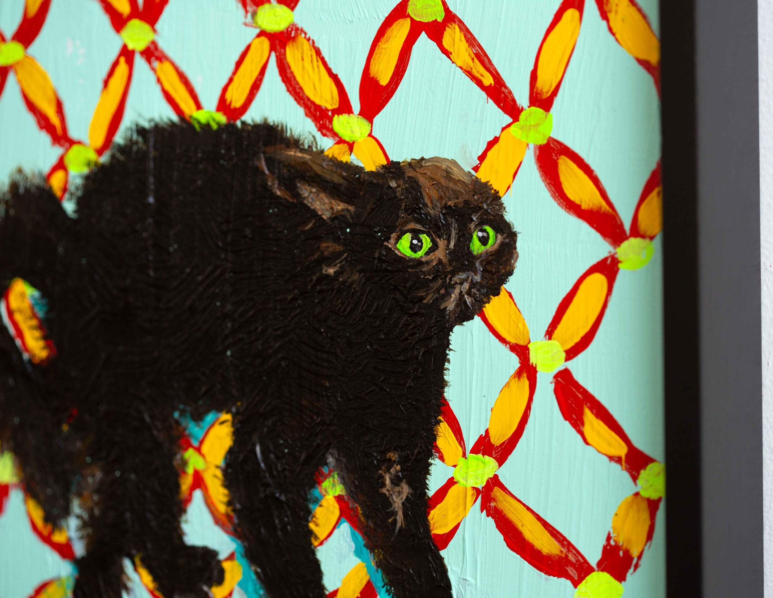 SCAREDYCAT2.jpg