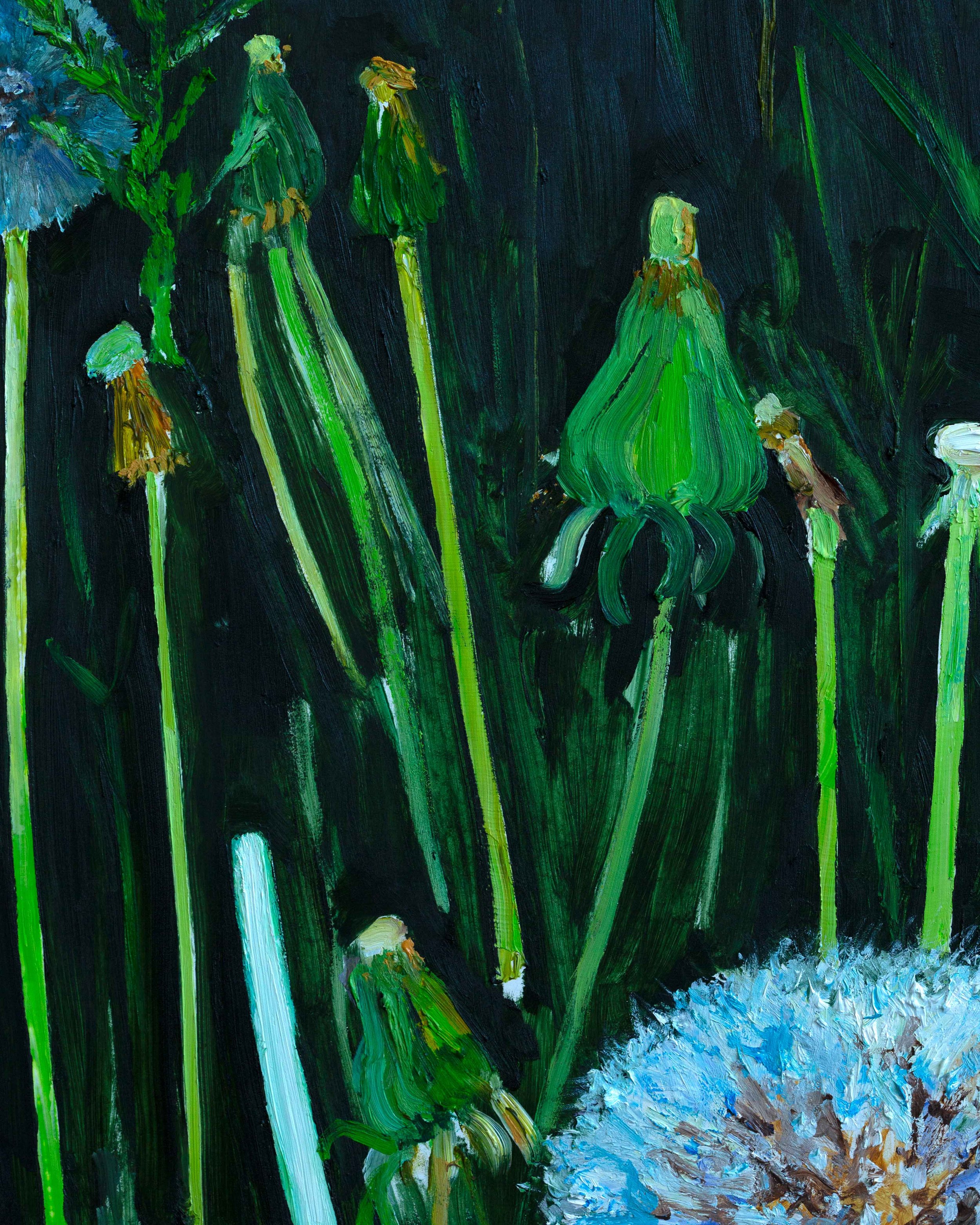 DANDELION2.jpg