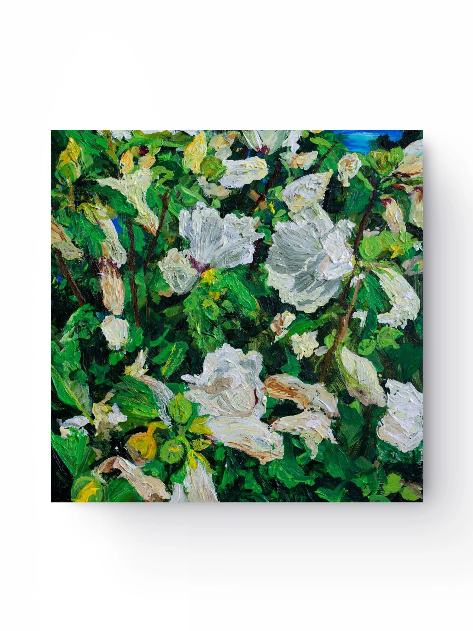 Wilting Rose of Sharon