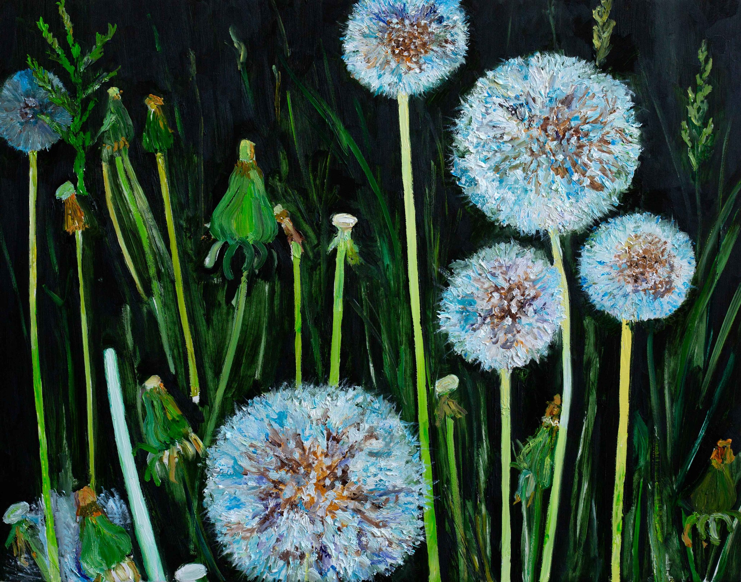 DANDELION.jpg