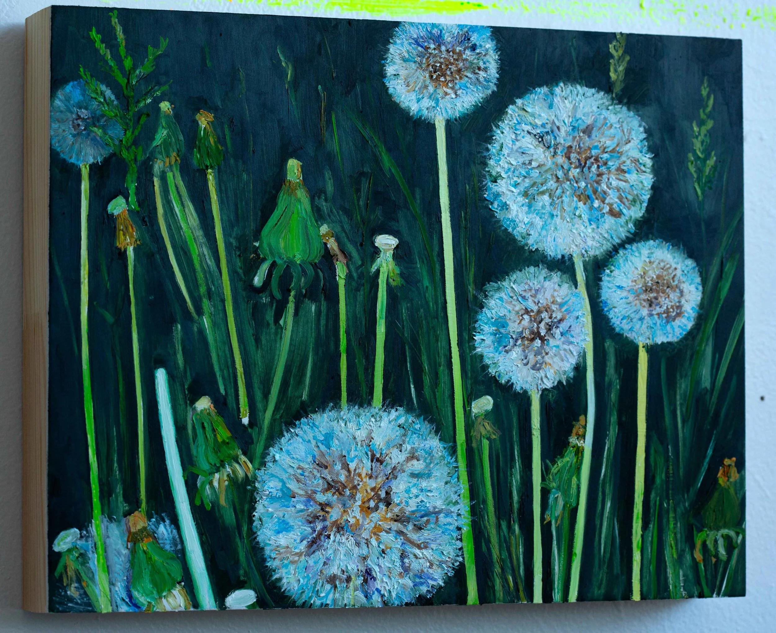 DANDELION1.jpg