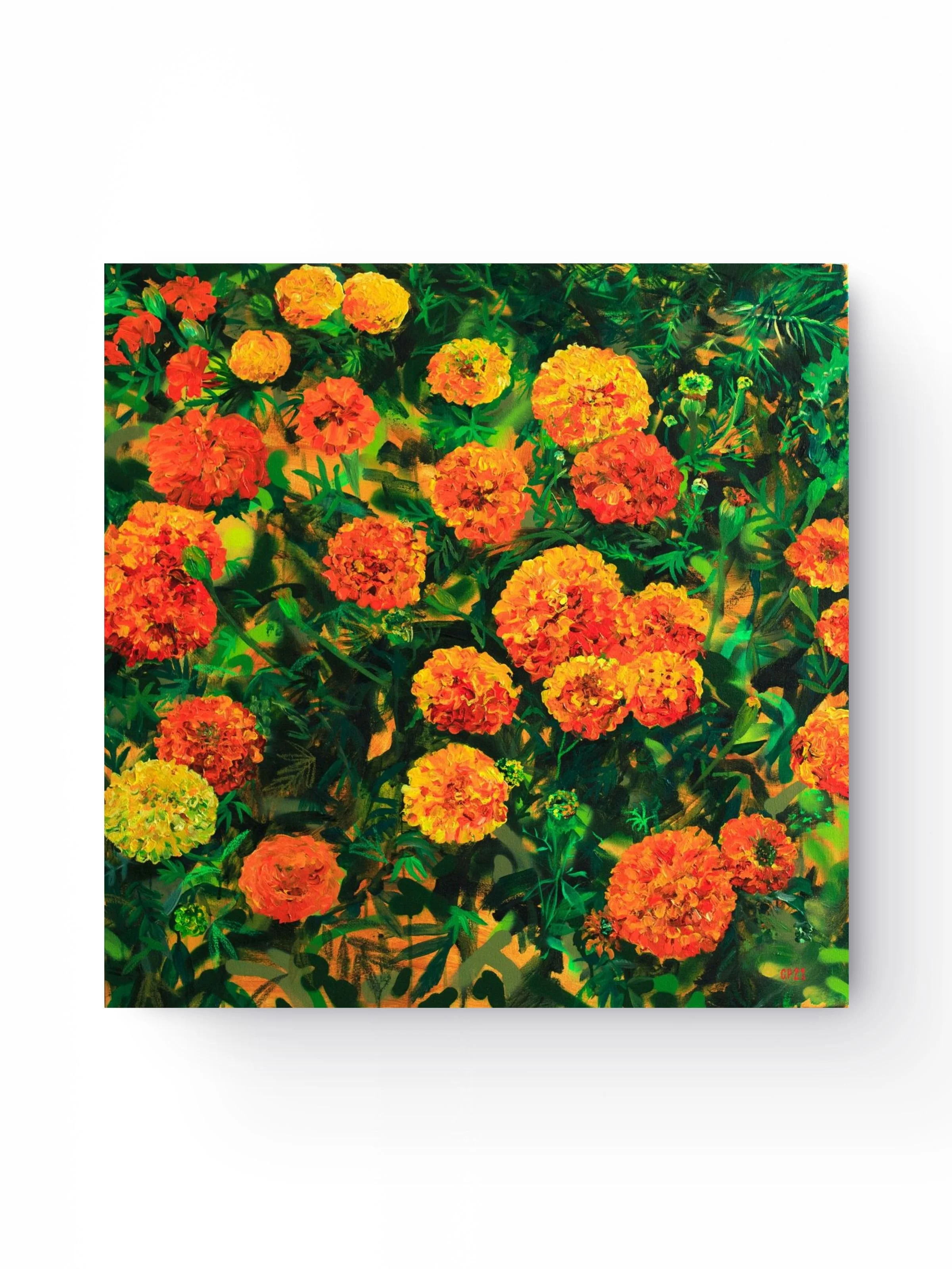 Marigolds