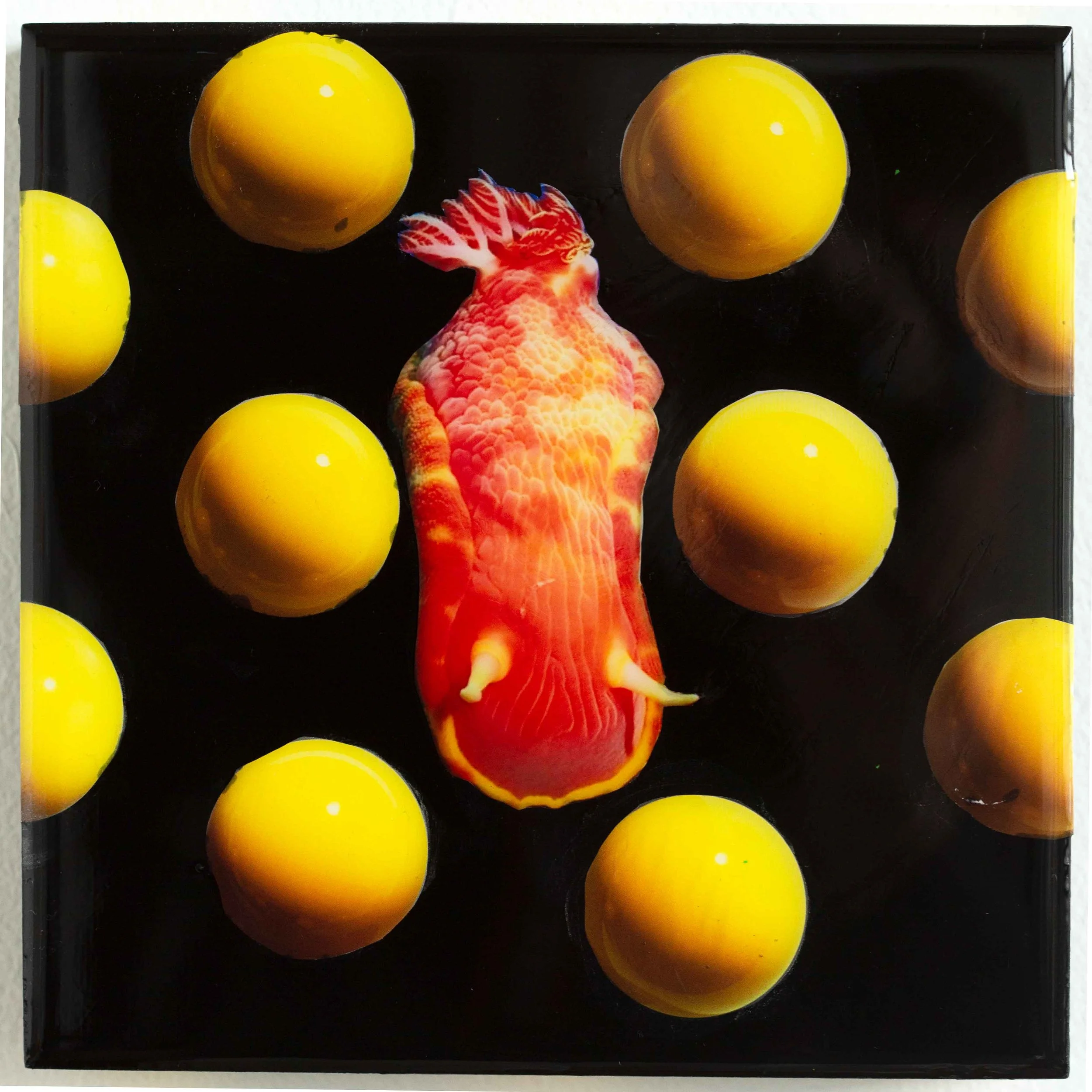 NudiKusama 8" x 8" Acrylic, collage & resin on wood panel