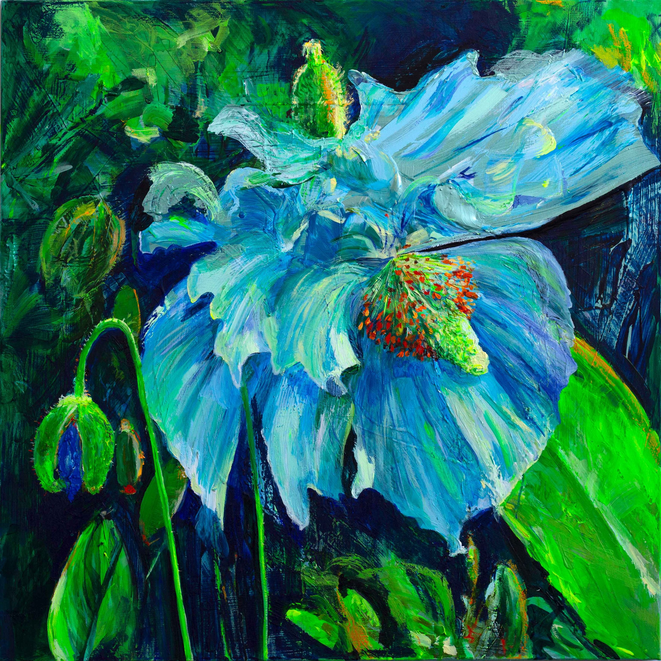 HIMALAYAN-BLUE-POPPY.jpg