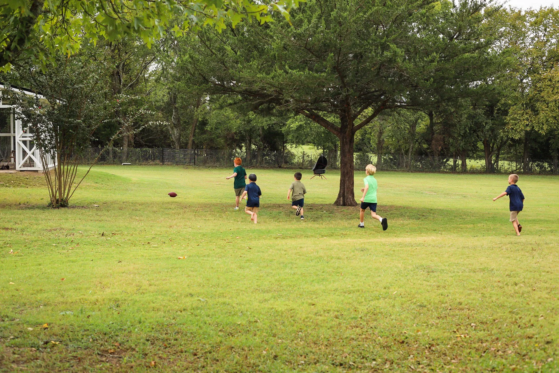 Photo 24 09 2025 11 15 14 13.jpeg