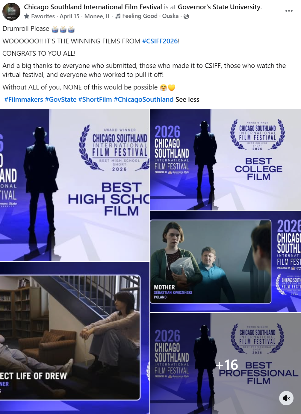 Collage of images from the Chicago Southland International Film Festival, featuring the festival logo, award winners for Best High School Film, Best College Film, and Best Professional Film, and scenes from films including a woman sitting on a couch in a library and a young girl with a man in a school setting.