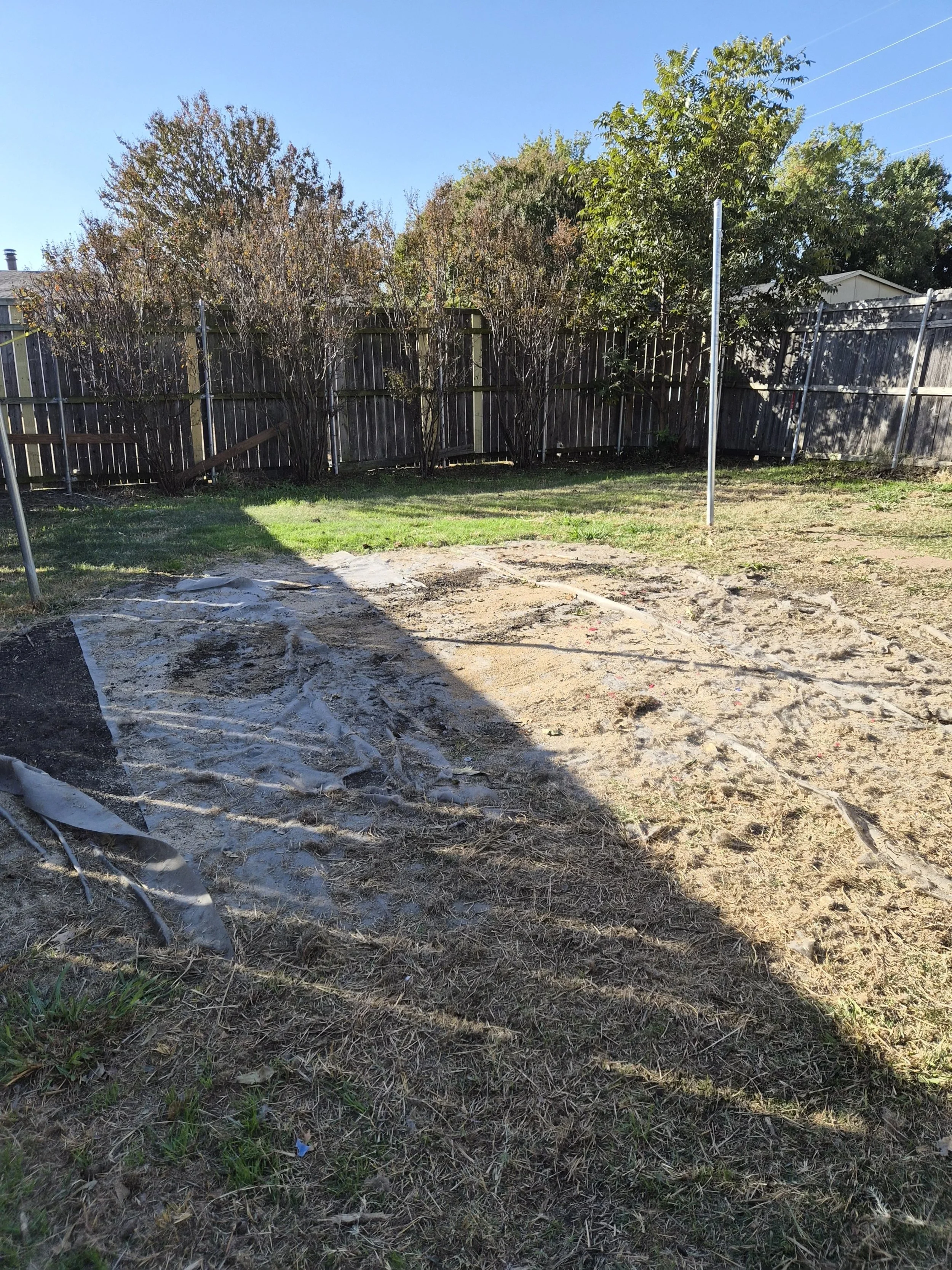 Yard debris removal after photo – cleaned and cleared backyard in Plano TX.