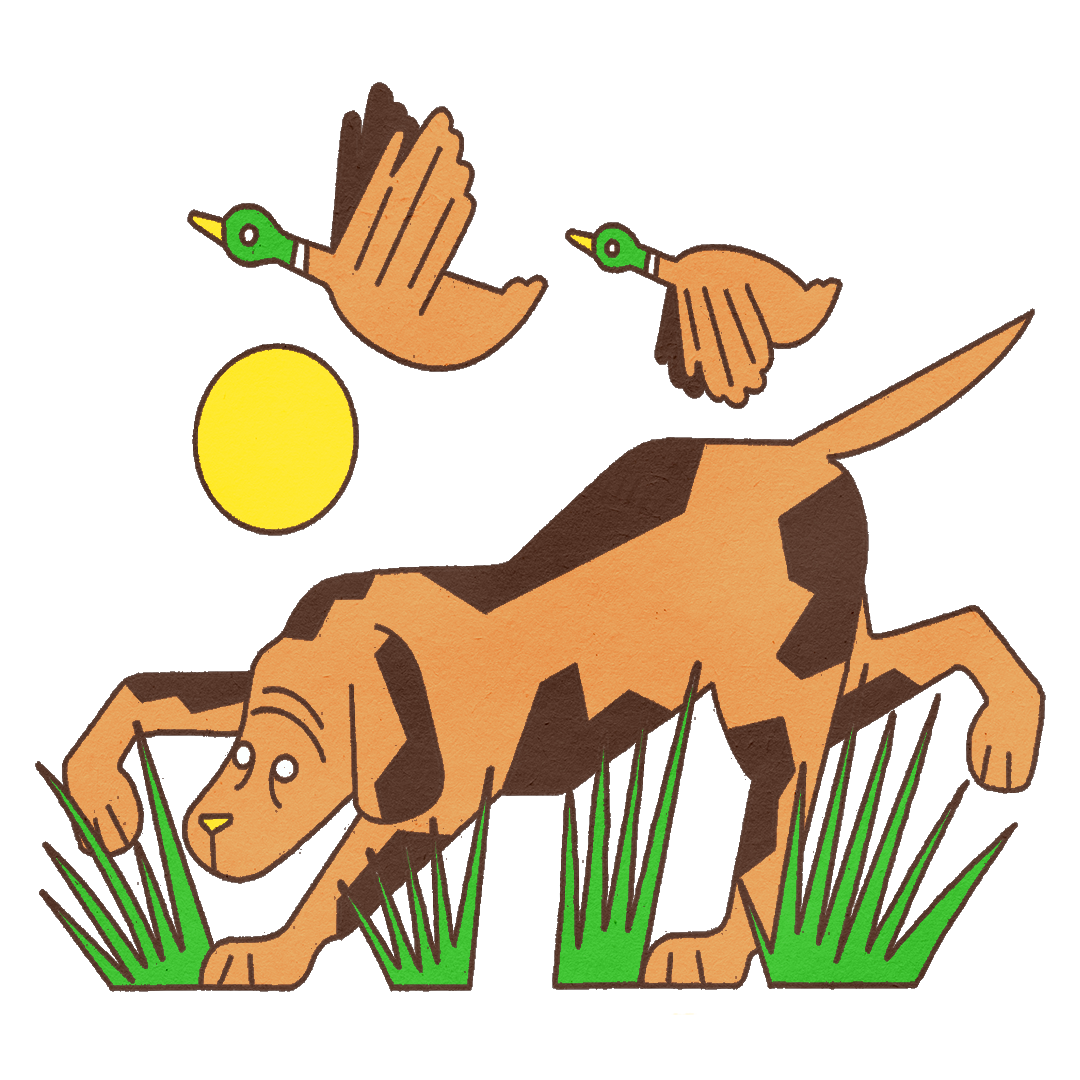 dog_1.png