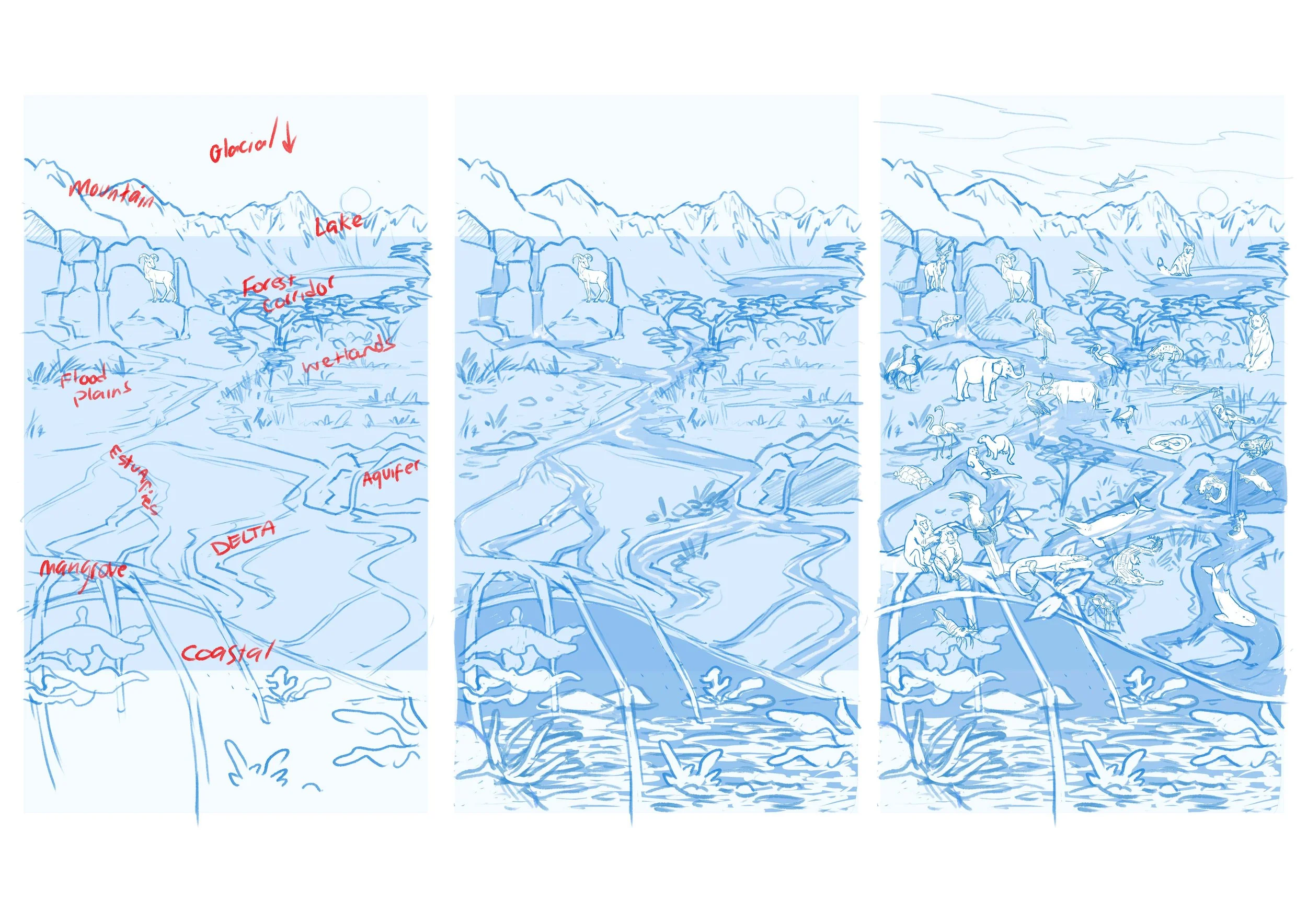 sketches.jpg